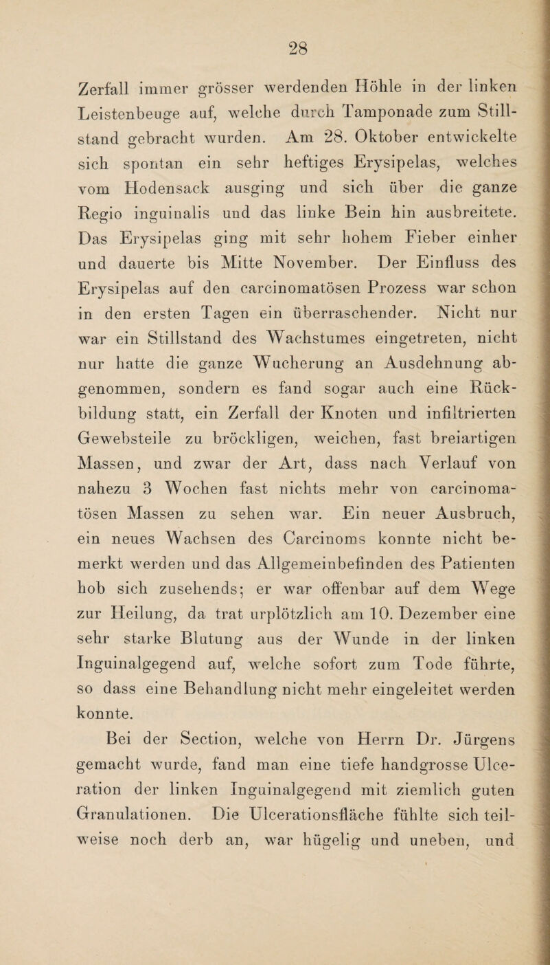 Zerfall immer grösser werdenden Höhle in der linken Leistenbeuge auf, welche durch Tamponade zum Still¬ stand gebracht wurden. Am 28. Oktober entwickelte sich spontan ein sehr heftiges Erysipelas, welches vom Hodensack ausging und sich über die ganze Regio inguinalis und das linke Bein hin ausbreitete. Das Erysipelas ging mit sehr hohem Fieber einher und dauerte bis Mitte November. Der Einfluss des Erysipelas auf den carcinomatösen Prozess war schon in den ersten Tagen ein überraschender. Nicht nur war ein Stillstand des Wachstumes eingetreten, nicht nur hatte die ganze Wucherung an Ausdehnung ab¬ genommen, sondern es fand sogar auch eine Rück¬ bildung statt, ein Zerfall der Knoten und infiltrierten Gewebsteile zu bröckligen, weichen, fast breiartigen Massen, und zwar der Art, dass nach Verlauf von nahezu 3 Wochen fast nichts mehr von carcinoma¬ tösen Massen zu sehen war. Ein neuer Ausbruch, ein neues Wachsen des Carcinoms konnte nicht be¬ merkt werden und das Allgemeinbefinden des Patienten hob sich zusehends; er war offenbar auf dem Wege zur Heilung, da trat urplötzlich am 10. Dezember eine sehr starke Blutung aus der Wunde in der linken Inguinalgegend auf, welche sofort zum Tode führte, so dass eine Behandlung nicht mehr eingeleitet werden konnte. Bei der Section, welche von Herrn Dr. Jürgens gemacht wurde, fand man eine tiefe handgrosse Ulce- ration der linken Inguinalgegend mit ziemlich guten Granulationen. Die Ulcerationsfläche fühlte sich teil¬ weise noch derb an, war hügelig und uneben, und