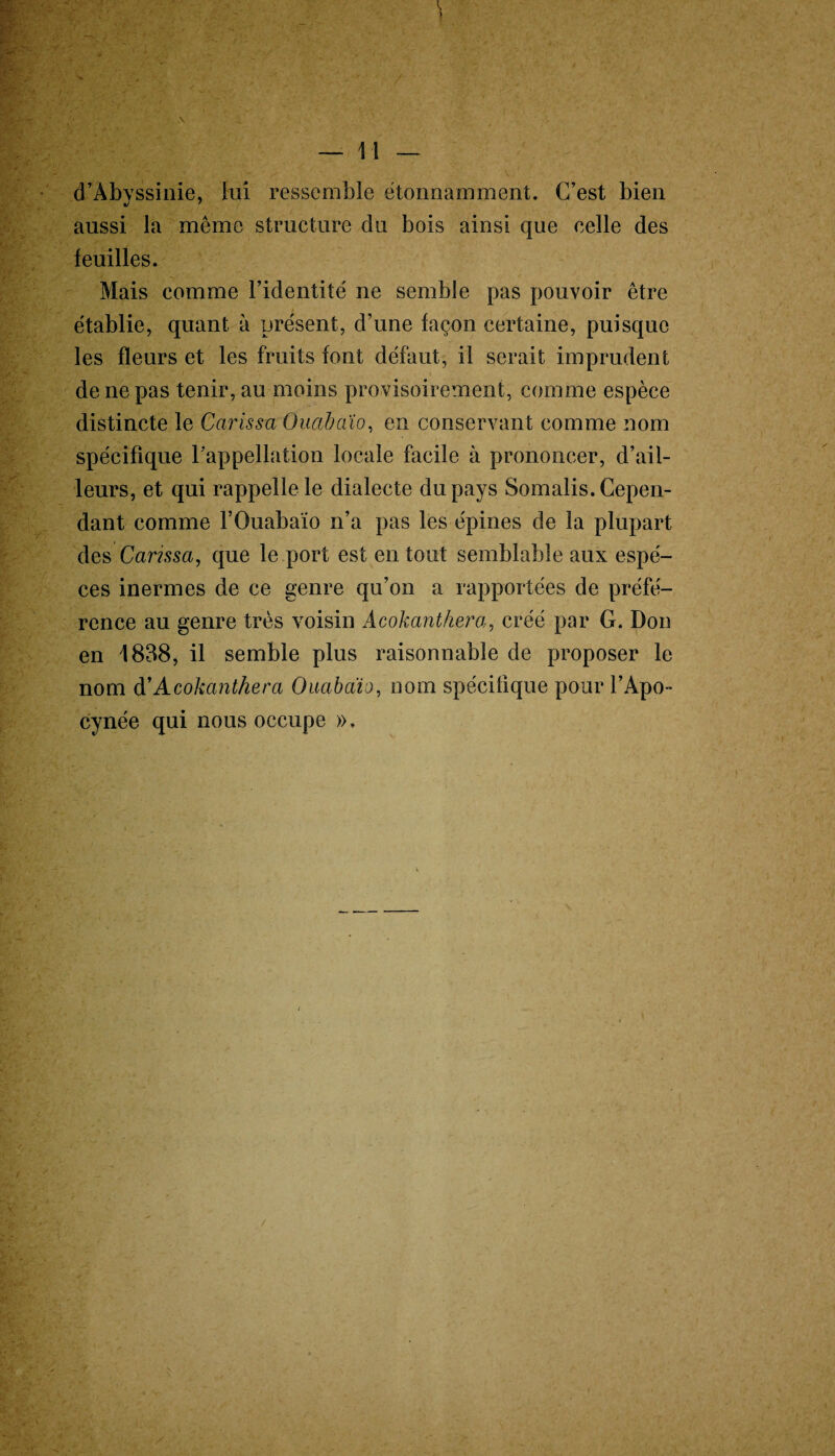 d’Abvssinie, lui ressemble étonnamment. C’est bien %j 7 aussi la même structure du bois ainsi que celle des feuilles. Mais comme l’identité ne semble pas pouvoir être établie, quant à présent, d’une façon certaine, puisque les fleurs et les fruits font défaut, il serait imprudent de ne pas tenir, au moins provisoirement, comme espèce distincte le Carissa Ouabaïo, en conservant comme nom spécifique l’appellation locale facile à prononcer, d’ail¬ leurs, et qui rappelle le dialecte du pays Somalis. Cepen¬ dant comme l’Ouabaïo n’a pas les épines de la plupart des Carissa, que le port est en tout semblable aux espè¬ ces inermes de ce genre qu’on a rapportées de préfé¬ rence au genre très voisin Âcokanthera, créé par G. Don en 1838, il semble plus raisonnable de proposer le nom à'Acokanthera Ouabaïo, nom spécifique pour l’Apo- cynée qui nous occupe ».