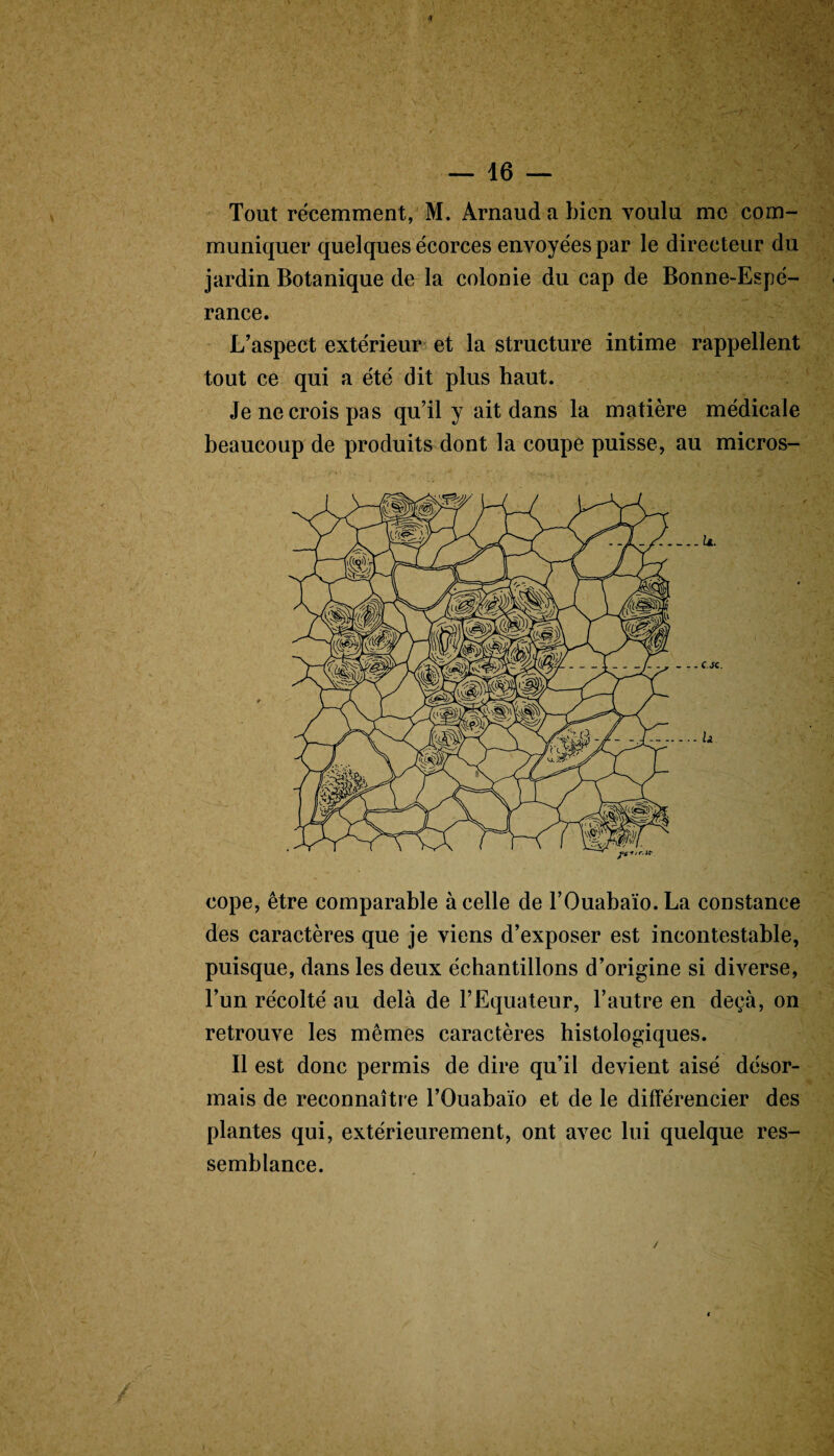 A — 16 — Tout récemment, M. Arnaud a bien voulu me com¬ muniquer quelques écorces envoyées par le directeur du jardin Botanique de la colonie du cap de Bonne-Espé¬ rance. L’aspect extérieur et la structure intime rappellent tout ce qui a été dit plus haut. Je ne crois pas qu’il y ait dans la matière médicale beaucoup de produits dont la coupe puisse, au micros¬ cope, être comparable à celle de FOuabaïo.La constance des caractères que je viens d’exposer est incontestable, puisque, dans les deux échantillons d’origine si diverse, l’un récolté au delà de l’Equateur, l’autre en deçà, on retrouve les mêmes caractères histologiques. Il est donc permis de dire qu’il devient aisé désor¬ mais de reconnaître l’Ouabaïo et de le différencier des plantes qui, extérieurement, ont avec lui quelque res¬ semblance. /