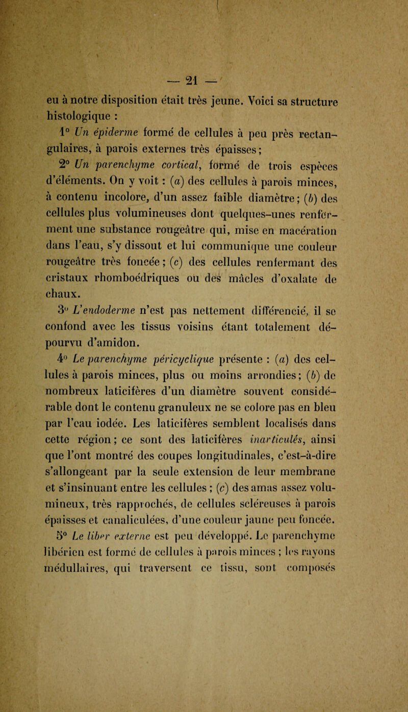 — 21 — eu à notre disposition était très jeune. Voici sa structure histologique : 1° Un épiderme formé de cellules à peu près rectan¬ gulaires, à parois externes très épaisses; 2° Un parenchyme cortical, formé de trois espèces d’éléments. On y voit : (a) des cellules à parois minces, à contenu incolore, d’un assez faible diamètre ; (b) des cellules plus volumineuses dont quelques-unes renfer¬ ment une substance rougeâtre qui, mise en macération dans l’eau, s’y dissout et lui communique une couleur rougeâtre très foncée ; (c) des cellules renfermant des cristaux rhomboédriques ou des mâcles d’oxalate de chaux. 3U U endoderme n’est pas nettement différencié, il se confond avec les tissus voisins étant totalement dé¬ pourvu d’amidon. 4° Le parenchyme péricyclique présente : (a) des cel¬ lules à parois minces, plus ou moins arrondies ; (b) de nombreux laticifères d’un diamètre souvent considé¬ rable dont le contenu granuleux ne se colore pas en bleu par l’eau iodée. Les laticifères semblent localisés dans cette région ; ce sont des laticifères inarticulés, ainsi que l’ont montré des coupes longitudinales, c’est-à-dire s’allongeant par la seule extension de leur membrane et s’insinuant entre les cellules ; (c) des amas assez volu¬ mineux, très rapprochés, de cellules scléreuses à parois épaisses et canaliculées, d’une couleur jaune peu foncée. 5° Le liber externe est peu développé. Le parenchyme libérien est formé de cellules à parois minces ; les rayons médullaires, qui traversent ce tissu, sont composés