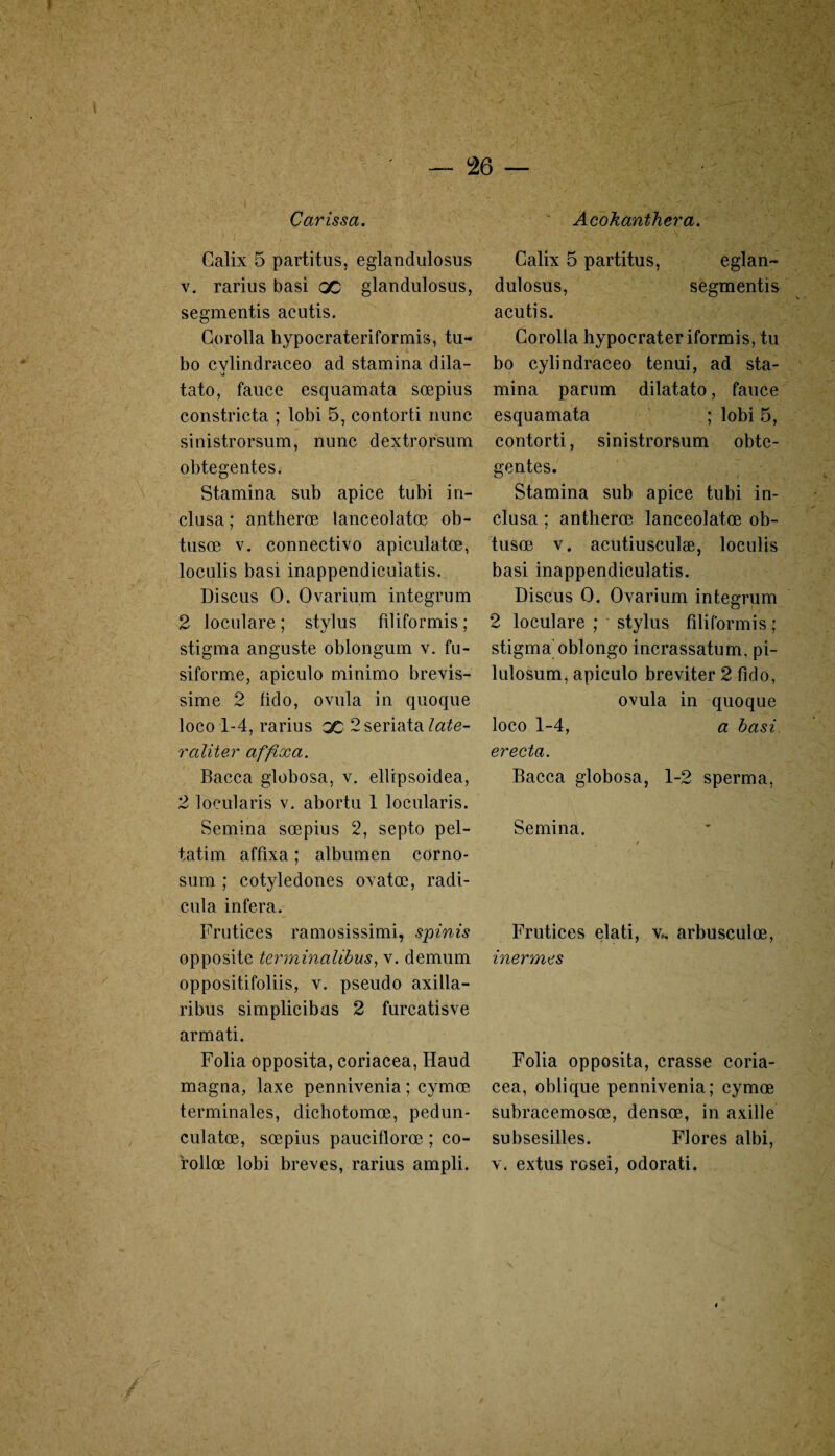Car iss a. Galix 5 partitus, eglandulosus v. rarius basi oc glandulosus, segmentis acutis. Gorolla hypocrateriformis, tu- bo cvlindraceo ad stamina dila- •j tato, fauce esquamata sœpius constricta ; lobi 5, contorti nunc sinistrorsum, nunc dextrorsum obtegentes. Stamina sub apice tubi in- clusa ; antherœ lanceolatœ ob- tusœ v. eonnectivo apiculatœ, loculis basi inappendicuiatis. Discus O. Ovarium integrum 2 loculare ; stylus filiformis ; stigma anguste oblongum v. fu¬ siforme, apiculo minimo brevis- sime 2 fido, ovula in quoque loco 1-4, rarius qc 2 seriata raliter affixa. Bacca globosa, v. ellipsoidea, 2 locularis v. abortu 1 locularis. Semina sœpius 2, septo pel- tatim affixa ; albumen corno- sum ; cotyledones ovatœ, radi- cula inféra. Frutices ramosissimi, spinis opposite terminalibus, v. demum oppositifoliis, v. pseudo axilla- ribus simplicibas 2 furcatisve armati. Folia opposita, coriacea, Haud magna, laxe pennivenia ; cymœ terminales, dichotomœ, pedun- culatœ, sœpius pauciflorœ ; co- rollœ lobi brèves, rarius ampli. Acokanthera. Calix 5 partitus, eglan¬ dulosus, segmentis acutis. Gorolla hypocrateriformis, tu bo cylindraceo tenui, ad sta¬ mina parum dilatato, fauce esquamata ; lobi 5, contorti, sinistrorsum obte- Stamina sub apice tubi in- clusa ; antherœ lanceolatœ ob- tusœ v. acutiusculæ, loculis basi inappendicuiatis. Discus O. Ovarium integrum 2 loculare ; stylus filiformis ; stigma oblongo incrassatum, pi- lulosum, apiculo breviter 2 fido, ovula in quoque loco 1-4, a basi erecta. Bacca globosa, 1-2 sperma, Semina. Frutices elati, v.. arbusculœ, inermas Folia opposita, crasse coria¬ cea, oblique pennivenia; cymœ subracemosœ, densœ, in axille subsesilles. Flores albi, v. extus rosei, odorati.