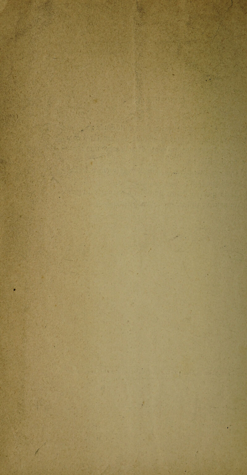 , • ■ ■ V ï'r: \ '■ - , Vf ■V f ÏA' - ‘ ' ' ’ ' ./ N ,■ . v ■■ i -, • ■ ' ; . ' ' ' i'teL‘-b*ysa&.i.ïyx-' • ■ ■ . . Y'- M • Y \ /. .V. ; ‘ ■ 4/ \ vî rv-. :- >’ - Vv ?’■ ' X't: V \ ■ ’<-J •! ' ■' 'V. ■■■■•■ : • 7 V “ v‘ / ' . f ■ • • ; * Y., J ; . . • ' •• ■■ ’ YY -/ . a-;/' ■ ■ V ■; ■ } \ \ ' ' • ' y-Y V-. iV I r •; v> •'i .--O : . / ■ . Yv. ■ >. ■7. i . •' ' ' y iW • -i, ' * * » t • • - , ' . / , ■v, «!• & ••• ' ■ -, ; *N. $*■, W •SjTv / ■ - Y . ■ Y, ■> •JY. • ' ■ y' ' .j- . . ■ y. Y-Y' - i'!’ i / / • ■< / /■ ■ / 7 ’ ‘ - » • v., , • .. ’V v- u ’ • ' •:«*& , v v ■ *' ■’> V' • V , IA *