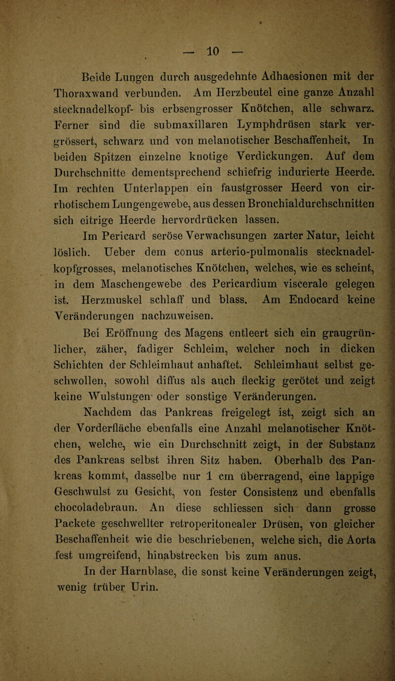 Beide Lungen durch ausgedehnte Adhaesionen mit der Thoraxwand verbunden. Am Herzbeutel eine ganze Anzahl stecknadelkopf- bis erbsengrosser Knötchen, alle schwarz. Ferner sind die submaxillaren Lymphdrüsen stark ver- grössert, schwarz und von melanotischer Beschaffenheit. In beiden Spitzen einzelne knotige Verdickungen. Auf dem Durchschnitte dementsprechend schiefrig indurierte Heerde. Im rechten Unterlappen ein faustgrosser Heerd von cir- rhotischem Lungengewebe, aus dessen Bronchialdurchschnitten sich eitrige Heerde hervordrücken lassen. Im Pericard seröse Verwachsungen zarter Natur, leicht löslich. Ueber dem conus arterio-pulmonalis stecknadel¬ kopfgrosses, melanotisches Knötchen, welches, wie es scheint, in dem Maschengewebe des Pericardium viscerale gelegen ist. Herzmuskel schlaff und blass. Am Endocard keine Veränderungen nachzuweisen. Bei Eröffnung des Magens entleert sich ein graugrün¬ licher, zäher, fadiger Schleim, welcher noch in dicken Schichten der Schleimhaut anhaftet. Schleimhaut selbst ge¬ schwollen, sowohl diffus als auch fleckig gerötet und zeigt keine Wulstungen oder sonstige Veränderungen. Nachdem das Pankreas freigelegt ist, zeigt sich an der Vorderfläche ebenfalls eine Anzahl melanotischer Knöt¬ chen, welche, wie ein Durchschnitt zeigt, in der Substanz des Pankreas selbst ihren Sitz haben. Oberhalb des Pan¬ kreas kommt, dasselbe nur 1 cm überragend, eine lappige Geschwulst zu Gesicht, von fester Consistenz und ebenfalls chocoladebraun. An diese schliessen sich dann grosse Packete geschwellter retroperitonealer Drüsen, von gleicher Beschaffenheit wie die beschriebenen, welche sich, die Aorta fest umgreifend, hinabstrecken bis zum anus. In der Harnblase, die sonst keine Veränderungen zeigt, wenig trüber Urin.