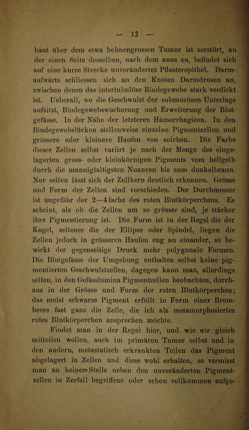 haut über dem etwa bohnengrossen Tumor ist zerstört, an der einen Seite desselben, nach dem anus zu, befindet sich auf eine kurze Strecke unverändertes Pflasterepithel. Darm- aufwärts schliessen sich an den Knoten Darmdrüsen an, zwischen denen das intertubulöse Bindegewebe stark verdickt ist. Ueberall, wo die Geschwulst der submucösen Unterlage aufsitzt, Bindegewebswucherung und Erweiterung der Blut¬ gefässe. In der Nähe der letzteren Hämorrhagieen. In den Bindegewebslticken stellenweise einzelne Pigmentzellen und grössere oder kleinere Haufen von solchen. Die Farbe dieser Zellen selbst variirt je nach der Menge des einge¬ lagerten gross- oder kleinkörnigen Pigments vom hellgelb durch die mannigfaltigsten Nuancen bis zum dunkelbraun. Nur selten lässt sich der Zellkern deutlich erkennen. Grösse und Form der Zellen sind verschieden. Der Durchmesser ist ungefähr der 2—4 fache des roten Blutkörperchens. Es scheint, als ob die Zellen um so grösser sind, je stärker ihre Pigmentierung ist. Die Form ist in der Regel die der Kugel, seltener die der Ellipse oder Spindel, liegen die Zellen jedoch in grösseren Haufen eng an einander, so be¬ wirkt der gegenseitige Druck mehr polygonale Formen. Die Blutgefässe der Umgebung enthalten selbst keine pig¬ mentierten Geschwulstzellen, dagegen kann man, allerdings selten, in den Gefässlumina Pigmentzellen beobachten, durch¬ aus in der Grösse und Form der roten Blutkörperchen; | das meist schwarze Pigment erfüllt in Form einer Brom¬ beere fast ganz die Zelle, die ich als metamorphosiertes rotes Blutkörperchen ansprechen möchte. Findet man in der Regel hier, und wie wir gleich mitteilen wollen, auch im primären Tumor selbst und in den andern, metastatisch erkrankten Teilen das Pigment abgelagert in Zellen und diese wohl erhalten, so vermisst man an keiner* Stelle neben den unveränderten Pigment¬ zellen in Zerfall begriffene oder schon vollkommen aufge- .  1 - - ■ 1