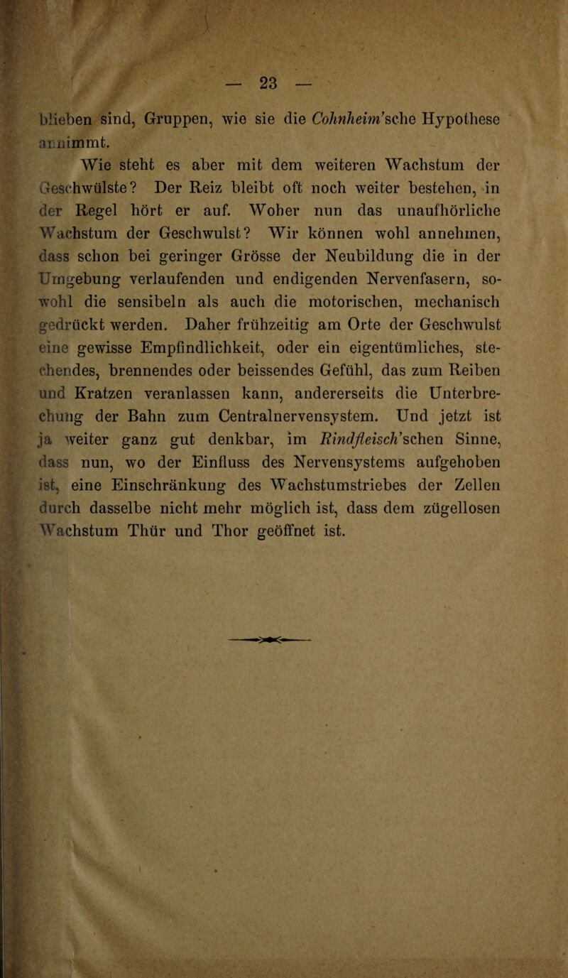 blieben sind, Gruppen, wie sie die Cohnheim’sehe Hypothese an nimmt. Wie steht es aber mit dem weiteren Wachstum der Geschwülste? Der Reiz bleibt oft noch weiter bestehen, in der Regel hört er auf. Woher nun das unaufhörliche Wachstum der Geschwulst? Wir können wohl annehmen, dass schon bei geringer Grösse der Neubildung die in der Umgebung verlaufenden und endigenden Nervenfasern, so¬ wohl die sensibeln als auch die motorischen, mechanisch gedrückt werden. Daher frühzeitig am Orte der Geschwulst eine gewisse Empfindlichkeit, oder ein eigentümliches, ste¬ chendes, brennendes oder beissendes Gefühl, das zum Reiben und Kratzen veranlassen kann, andererseits die Unterbre¬ chung der Bahn zum Centralnervensystem. Und jetzt ist ja weiter ganz gut denkbar, im Rindfleisch'sehen Sinne, dass nun, wo der Einfluss des Nervensystems aufgehoben ist, eine Einschränkung des Wachstumstriebes der Zellen durch dasselbe nicht mehr möglich ist, dass dem zügellosen Wachstum Thür und Thor geöffnet ist.