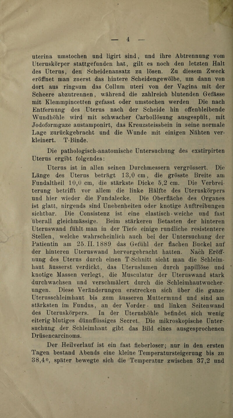 uterina umstochen und ligirt sind, und ihre Abtrennung vorn Uteruskörper stattgefunden hat, gilt es noch den letzten Halt des Uterus, den Scheidenansatz zu lösen. Zu diesem Zweck eröffnet man zuerst das hintere Scheidengewölbe, um dann von dort aus ringsum das Collum uteri von der Vagina mit der Scheere abzutrennen, während die zahlreich blutenden Gefässe mit Klemmpincetten gefasst oder unistochen werden Die nach Entfernung des Uterus nach der Scheide hin offenbleibende Wundhöhle wird mit schwacher Carbollösung ausgespült, mit Jodoformgaze austamponirt, das Kreuzsteissbein in seine normale Lage zurückgebracht und die Wunde mit einigen Nähten ver¬ kleinert. T-Binde. Die pathologisch-anatomische Untersuchung des exstirpirten Uterus ergibt folgendes: Uterus ist in allen seinen Durchmessern vergrössert. Die Länge des Uterus beträgt 13,0 cm, die grösste Breite am Fundaltheil 10,0 cm, die stärkste Dicke 5,2 cra. Die Verbrei¬ terung betrifft vor allem die linke Hälfte des Uteruskörpers und hier wieder die Fundalecke. Die Oberfläche des Organes ist glatt, nirgends sind Unebenheiten oder knotige Auftreibungen sichtbar. Die Consisteuz ist eine elastisch-weiche und fast überall gleichmässige. Beim stärkeren Betasten der hinteren Uteruswand fühlt man in der Tiefe einige rundliche resistentere Stellen, welche wahrscheinlich auch bei der Untersuchung der Patientin am 25.11.1889 das Gefühl der flachen Buckel auf der hinteren Uterus wand hervorgebracht hatten. Nach Eröff¬ nung des Uterus durch einen T-Schnitt sieht man die Schleim¬ haut äusserst verdickt, das Uteruslumen durch papillöse und knotige Massen verlegt, die Musculatur der Uterus wand stark durchwachsen und verschmälert durch die Schleimhautwucher¬ ungen. Diese Veränderungen erstrecken sich über die ganze Uterusschleimhaut bis zum äusseren Muttermund und sind am stärksten im Fundus, an der Vorder- und linken Seitenwand des Uteruskörpers. In der Uterushöhle befindet sich wenig eiterig blutiges dünnflüssiges Secret. Die mikroskopische Unter¬ suchung der Schleimhaut gibt das Bild eines ausgesprochenen Drüsencarcinoms. Der Heilverlauf ist ein fast fieberloser; nur in den ersten Tagen bestand Abends eine kleine Temperatursteigerung bis zu 38,40, später bewegte sich die Temperatur zwischen 37,2 und
