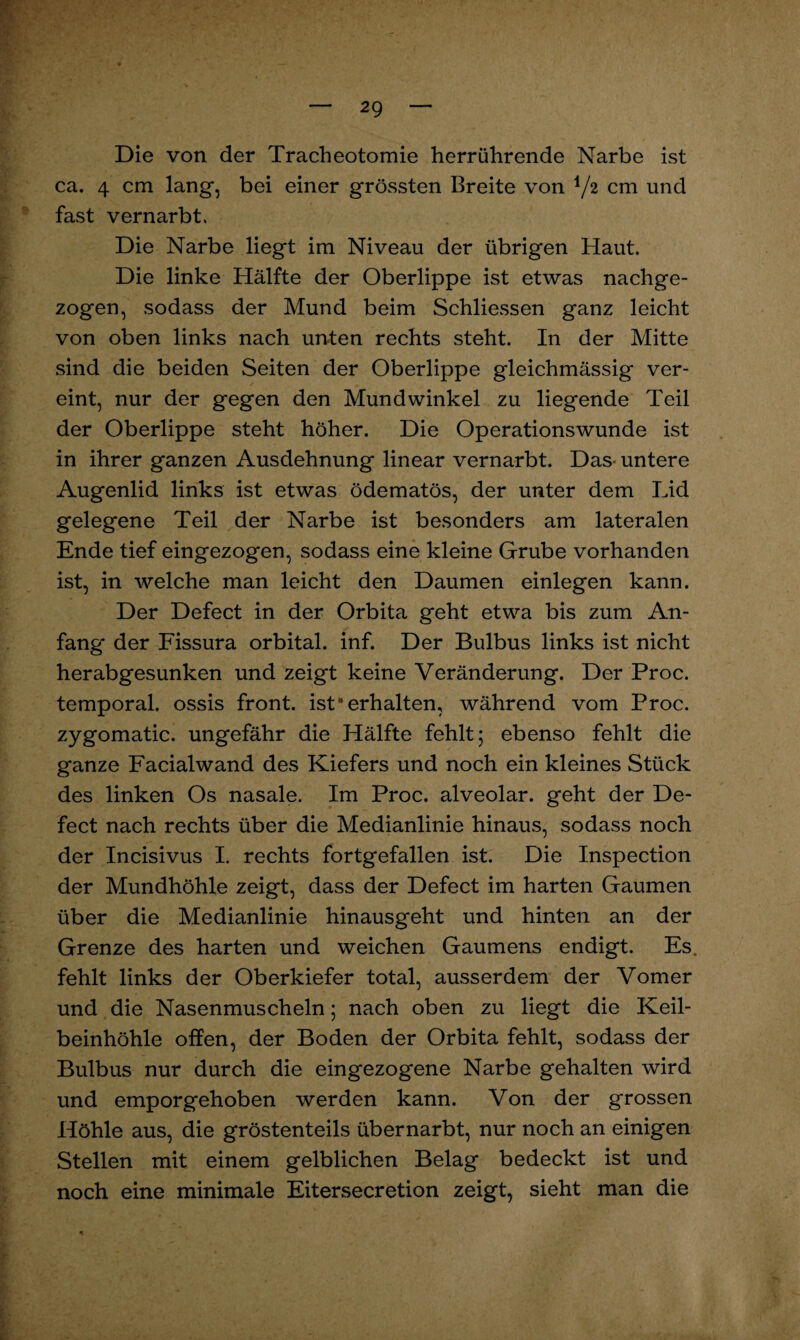 Die von der Tracheotomie herrührende Narbe ist ca. 4 cm lang, bei einer grössten Breite von V2 cm und fast vernarbt. Die Narbe liegt im Niveau der übrigen Haut. Die linke Hälfte der Oberlippe ist etwas nachge¬ zogen, sodass der Mund beim Schliessen ganz leicht von oben links nach unten rechts steht. In der Mitte sind die beiden Seiten der Oberlippe gleichmässig ver¬ eint, nur der gegen den Mundwinkel zu liegende Teil der Oberlippe steht höher. Die Operationswunde ist in ihrer ganzen Ausdehnung linear vernarbt. Das untere Augenlid links ist etwas ödematös, der unter dem Lid gelegene Teil der Narbe ist besonders am lateralen Ende tief eingezogen, sodass eine kleine Grube vorhanden ist, in welche man leicht den Daumen einlegen kann. Der Defect in der Orbita geht etwa bis zum An¬ fang* der Fissura orbital, inf. Der Bulbus links ist nicht herabgesunken und zeigt keine Veränderung. Der Proc. temporal, ossis front, ist*erhalten, während vom Proc. zygomatic. ungefähr die Hälfte fehlt; ebenso fehlt die ganze Facialwand des Kiefers und noch ein kleines Stück des linken Os nasale. Im Proc. alveolar, geht der De¬ fect nach rechts über die Medianlinie hinaus, sodass noch der Incisivus I. rechts fortgefallen ist. Die Inspection der Mundhöhle zeigt, dass der Defect im harten Gaumen über die Medianlinie hinausgeht und hinten an der Grenze des harten und weichen Gaumens endigt. Es. fehlt links der Oberkiefer total, ausserdem der Vomer und die Nasenmuscheln; nach oben zu liegt die Keil¬ beinhöhle offen, der Boden der Orbita fehlt, sodass der Bulbus nur durch die eingezogene Narbe gehalten wird und emporgehoben werden kann. Von der grossen Höhle aus, die gröstenteils übernarbt, nur noch an einigen Stellen mit einem gelblichen Belag bedeckt ist und noch eine minimale Eitersecretion zeigt, sieht man die