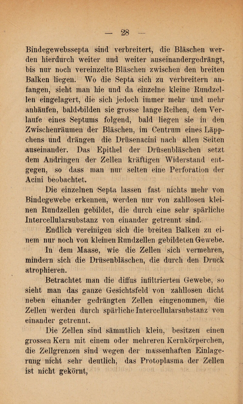 Bindegewebssepta sind verbreitert, die Bläschen wer¬ den hierdurch weiter und weiter auseinandergedrängt, bis nur noch vereinzelte Bläschen zwischen den breiten Balken liegen. Wo die Septa sich zu verbreitern an¬ fangen, sieht man hie und da einzelne kleine Bundzel¬ len eingelagert, die sich jedoch immer mehr und mehr anhäufen, baldvbilden siegrosse lange Beihen, dem Ver¬ laufe eines Septums folgend, bald liegen sie in den Zwischenräumen der Bläschen, im Centrum eines Läpp¬ chens und drängen die Drüsenacini nach allen Seiten auseinander. Das Epithel der Drüsenbläschen setzt dem Andringen der Zellen kräftigen Widerstand ent¬ gegen, so dass man nur selten eine Perforation der Acini beobachtet. Die einzelnen Bepta lassen fast nichts mehr von Bindegewebe erkennen, werden nur von zahllosen klei¬ nen Bundzellen gebildet, die durch eine sehr spärliche Intercellularsubstanz von einander getrennt sind. Endlich vereinigen sich die breiten Balken zu ei¬ nem nur noch von kleinen Bundzellen gebildeten Gewebe. In dem Maase, wie die Zellen sich vermehren, mindern sich die Drüsenbläschen, die durch den Druck atrophieren. Betrachtet man die diffus infiltrierten Gewebe, so sieht man das ganze Gesichtsfeld von zahllosen dicht neben einander gedrängten Zellen eingenommen, die Zellen werden durch spärliche Intercellularsubstanz von einander getrennt. Die Zellen sind sämmtlich klein, besitzen einen grossen Kern mit einem oder mehreren Kernkörperchen, die Zellgrenzen sind wegen der massenhaften Einlage¬ rung nicht sehr deutlich, das Protoplasma der Zellen ist nicht gekörnt,