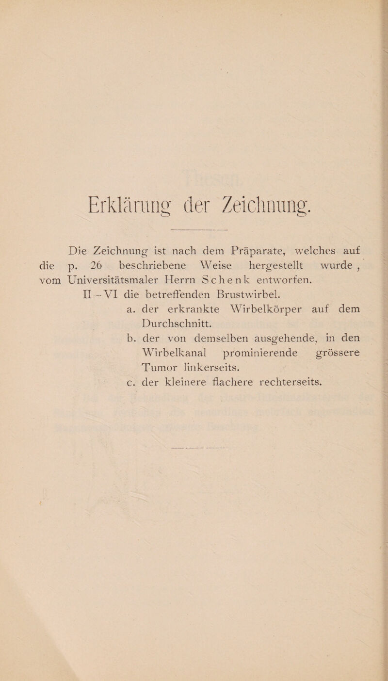 Erklärung der Zeichnung. Die Zeichnung ist nach dem Präparate, welches auf die p. 26 beschriebene Weise hergestellt wurde , vom Universitätsmaler Herrn Schenk entworfen. II —VI die betreffenden Brustwirbel. a. der erkrankte Wirbelkörper auf dem Durchschnitt. b. der von demselben ausgehende, in den Wirbelkanal prominierende grössere Tumor linkerseits. c. der kleinere flachere rechterseits.