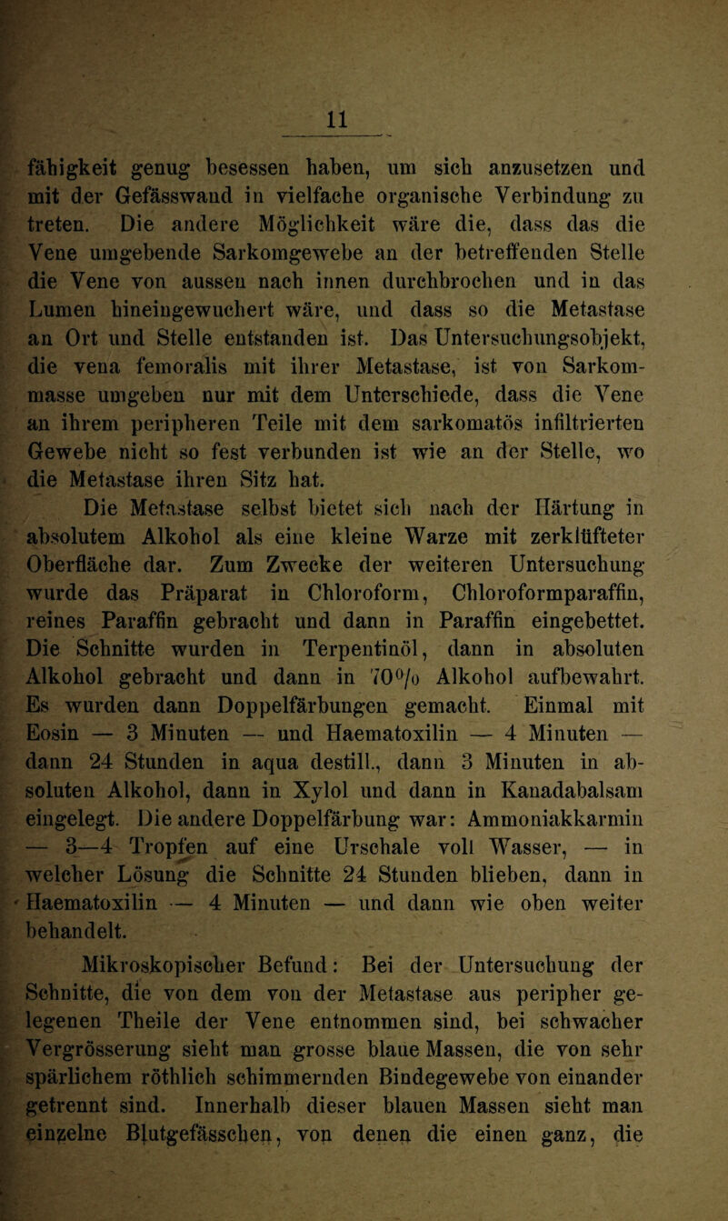 fähigkeit genug besessen haben, um sich anzusetzen und mit der Gefässwand in vielfache organische Verbindung zu treten. Die andere Möglichkeit wäre die, dass das die Vene umgebende Sarkomgewebe an der betreffenden Stelle die Vene von aussen nach innen durchbrochen und in das Lumen hineingewuchert wäre, und dass so die Metastase an Ort und Stelle entstanden ist. Das Untersuchungsobjekt, die vena femoralis mit ihrer Metastase, ist von Sarkom¬ masse umgeben nur mit dem Unterschiede, dass die Vene an ihrem peripheren Teile mit dem sarkomatös infiltrierten Gewebe nicht so fest verbunden ist wie an der Stelle, wo die Metastase ihren Sitz hat. Die Metastase selbst bietet sich nach der Härtung in absolutem Alkohol als eine kleine Warze mit zerklüfteter Oberfläche dar. Zum Zwecke der weiteren Untersuchung wurde das Präparat in Chloroform, Chloroformparaffin, reines Paraffin gebracht und dann in Paraffin eingebettet. Die Schnitte wurden in Terpentinöl, dann in absoluten Alkohol gebracht und dann in 70°/o Alkohol aufbewahrt. Es wurden dann Doppelfärbungen gemacht. Einmal mit Eosin — 3 Minuten — und Haematoxilin — 4 Minuten — dann 24 Stunden in aqua destill., dann 3 Minuten in ab¬ soluten Alkohol, dann in Xylol und dann in Kanadabalsam eingelegt. Die andere Doppelfärbung war: Ammoniakkarmin — 3—4 Tropfen auf eine Urschale voll Wasser, — in welcher Lösung die Schnitte 24 Stunden blieben, dann in ' Haematoxilin — 4 Minuten — und dann wie oben weiter behandelt. Mikroskopischer Befund: Bei der Untersuchung der Schnitte, die von dem von der Metastase aus peripher ge¬ legenen Theile der Vene entnommen sind, bei schwacher Vergrösserung sieht man grosse blaue Massen, die von sehr spärlichem röthlich schimmernden Bindegewebe von einander getrennt sind. Innerhalb dieser blauen Massen sieht man einzelne Blutgefässchen, von denen die einen ganz, die