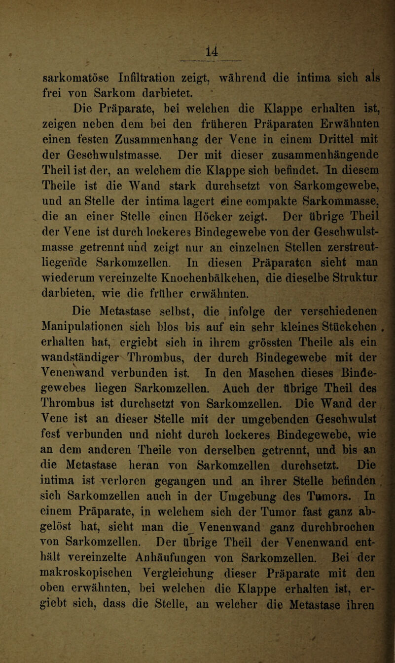 ? sarkomatöse Infiltration zeigt, während die intima sich als frei von Sarkom darbietet. Die Präparate, bei welchen die Klappe erhalten ist, zeigen neben dem bei den früheren Präparaten Erwähnten einen festen Zusammenhang der Vene in einem Drittel mit der Geschwulstmasse. Der mit dieser zusammenhängende Theil ist der, an welchem die Klappe sich befindet. In diesem Theile ist die Wand stark durchsetzt von Sarkomgewebe, und an Stelle der intima lagert eine compakte Sarkommasse, die an einer Stelle einen Höcker zeigt. Der übrige Theil der Vene ist durch lockeres Bindegewebe von der Geschwulst¬ masse getrennt und zeigt nur an einzelnen Stellen zerstreut¬ liegende Sarkomzellen. In diesen Präparaten sieht man wiederum vereinzelte Knochenbälkchen, die dieselbe Struktur darbieten, wie die früher erwähnten. Die Metastase selbst, die infolge der verschiedenen Manipulationen sich blos bis auf ein sehr kleines Stückchen . ; erhalten hat, ergiebt sich in ihrem grössten Theile als ein wandständiger Thrombus, der durch Bindegewebe mit der Venenwand verbunden ist. In den Maschen dieses Binde¬ gewebes liegen Sarkomzellen. Auch der übrige Theil des Thrombus ist durchsetzt von Sarkomzellen. Die Wand der Vene ist an dieser Stelle mit der umgebenden Geschwulst fest verbunden und nicht durch lockeres Bindegewebe, wie an dem anderen Theile von derselben getrennt, und bis an die Metastase heran von Sarkomzellen durchsetzt. Die intima ist verloren gegangen und an ihrer Stelle befinden . sich Sarkomzellen auch in der Umgebung des Tumors. In einem Präparate, in welchem sieh der Tumor fast ganz ab¬ gelöst hat, sieht man die Venen wand ganz durchbrochen von Sarkomzellen. Der übrige Theil der Venenwand ent¬ hält vereinzelte Anhäufungen von Sarkomzellen. Bei der makroskopischen Vergleichung dieser Präparate mit den oben erwähnten, bei welchen die Klappe erhalten ist, er¬ giebt sich, dass die Stelle, an welcher die Metastase ihren