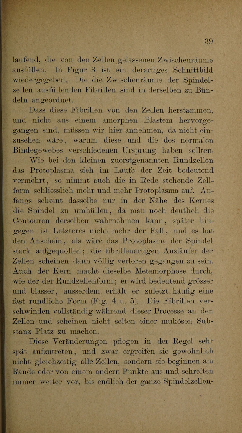 laufend, die von den Zellen gelassenen Zwischenräume ausfüllen. In Figur 3 ist ein derartiges Schnittbild wiedergegeben. Die die Zwischenräume der Spindel¬ zellen ausfüllenden Fibrillen sind in derselben zu Bün¬ deln an geordnet . O Dass diese Fibrillen von den Zellen herstammen, und nicht aus einem amorphen Blastem hervorge¬ gangen sind, müssen wir hier annehmen, da nicht ein¬ zusehen wäre, warum diese und die des normalen Bindegewebes verschiedenen Ursprung haben sollten. Wie bei den kleinen zuerstgenannten Rundzellen das Protoplasma sich im Laufe der Zeit bedeutend vermehrt, so nimmt auch die in Rede- stehende Zell¬ form schliesslich mehr und mehr Protoplasma auf. An¬ fangs scheint dasselbe nur in der Nähe des Kernes die Spindel zu Umhüllen, da man noch deutlich die Contouren derselben wahrnehmen kann, später hin¬ gegen ist Letzteres nicht mehr der Fall, und es hat den Anschein, als wäre das Protoplasma der Spindel stark aufgequollen; die fibrillenartigen Ausläufer der Zellen scheinen dann völlig verloren gegangen zu sein. Auch der Kern macht dieselbe Metamorphose durch, wie der der Rundzellenform ; er wird bedeutend grösser und blasser, ausserdem erhält er zuletzt häufig eine fast rundliche Form (Fig. 4 u. 5). Die Fibrillen ver¬ schwinden vollständig während dieser Processe an den Zellen und scheinen nicht selten einer mukösen Sub¬ stanz Platz zu machen. Diese Veränderungen pflegen in der Regel sehr spät aufzutreten, und zwar ergreifen sie gewöhnlich nicht gleichzeitig alle Zellen, sondern sie beginnen am Rande oder von einem andern Punkte aus und schreiten immer weiter vor, bis endlich der ganze Spindelzellen-