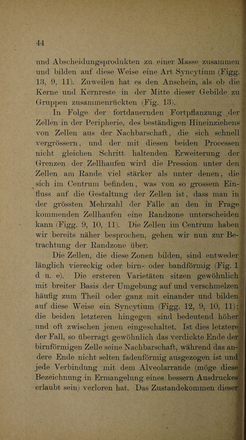 und Abscheidungsprodukten zu einer Masse zusammen und bilden auf diese Weise eine Art Syncyti um (Figg. 13, 9, 11). Zuweilen bat es den Anschein, als ob die Kerne und Kernreste in der Mitte dieser Gebilde zu Gruppen zusammenrückten (Fig. 13). In Folge der fortdauernden Fortpflanzung yler Zellen in der Peripherie, des beständigen Hineinziehens von Zellen aus der Nachbarschaft, die sich schnell vergrössern, und der mit diesen beiden Processen nicht gleichen Schritt haltenden Erweiterung der Grenzen der Zellhaufen wird die Pression unter den Zellen am Rande viel stärker als unter denen, die sich im Centrum befinden, was von so grossem Ein¬ fluss auf die Gestaltung der Zellen ist, dass man in der grössten Mehrzahl der Fälle an den in Frage kommenden Zellhaufen eine Randzone unterscheiden kann (Figg. 9, 10, 11). Die Zellen im Centrum haben wir bereits näher besprochen, gehen wir nun zur Be¬ trachtung der Randzone über. Die Zellen, die diese Zonen bilden, sind entweder länglich viereckig oder birn- oder bandförmig (Fig. 1 d u. e). Die ersteren Varietäten sitzen gewöhnlich mit breiter Basis der Umgebung auf und verschmelzen häufig zum Theil oder ganz mit einander und bilden auf diese Weise ein Syncytium (Figg. 12, 9, 10, 11); die beiden letzteren hingegen sind bedeutend höher und oft zwischen jenen eingeschaltet. Ist dies letztere der Fall, so überragt gewöhnlich das verdickte Ende der bimförmigen Zelle seine Nachbarschaft, während das an¬ dere Ende nicht selten fadenförmig ausgezogen ist und jede Verbindung mit dem Alveolarrande (möge diese Bezeichnung in Ermangelung eines bessern Ausdruckes erlaubt sein) verloren hat. Das Zustandekommen dieser