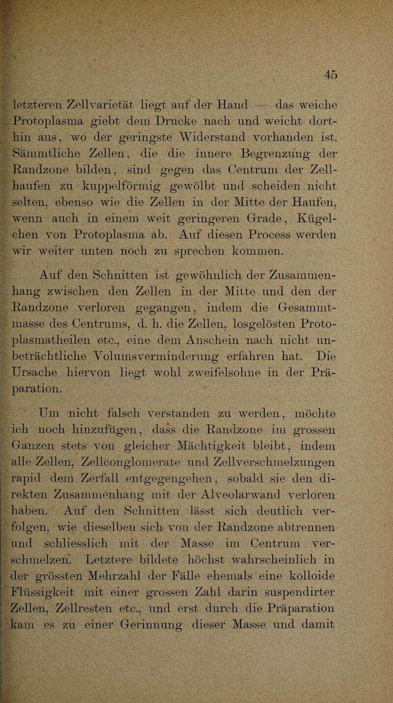 letzteren Zellvarietät liegt auf der Hand — das weiclie Protoplasma giebt dem Drucke nach und weicht dort¬ hin aus, wo der geringste Widerstand vorhanden ist. Sämmtliche Zellen, die die innere Begrenzung der Bandzone bilden, sind gegen das Centrum der Zell- haufen zu kuppelförmig gewölbt und scheiden nicht selten, ebenso wie die Zellen in der Mitte der Haufen, wenn auch in einem weit geringeren Grade, Kügel¬ chen von Protoplasma ab. Auf diesen Process werden wir weiter unten noch zu sprechen kommen. Auf den Schnitten ist gewöhnlich der Zusammen¬ hang zwischen den Zellen in der Mitte und den der Bandzone verloren gegangen, indem die Gesammt- masse des Centrums, d. h. die Zellen, losgelösten Proto- plasmatheilen etc., eine dem Anschein nach nicht un¬ beträchtliche Volums Verminderung erfahren hat. Die Ursache hiervon liegt wohl zweifelsohne in der Prä- jDaration. Um nicht falsch verstanden zu werden, möchte ich noch hinzufügen, dass die Bandzone im grossen Ganzen stets von gleicher Mächtigkeit bleibt, indem alle Zellen, Zelleon glomerate und Zell Verschmelzungen rapid dem Zerfall entgegengehen, sobald sie den di¬ rekten Zusammenhang mit der Alveolarwand verloren haben. Auf den Schnitten lässt sich deutlich ver¬ folgen, wie dieselben sich von der Bandzone abtrennen und schliesslich mit der Masse im Centrum ver¬ schmelzen. Letztere bildete höchst wahrscheinlich in der grössten Mehrzahl der Fälle ehemals eine kolloide Flüssigkeit mit einer grossen Zahl darin suspendirter Zellen, Zellresten etc., und erst durch die Präparation kam es zu einer Gerinnung dieser Masse und damit