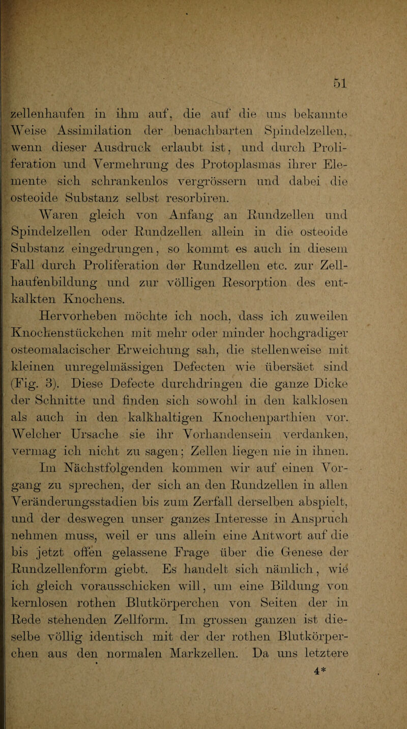 Weise Assimilation der benachbarten Spindelzellen, wenn dieser Ausdruck erlaubt ist, und durch Proli¬ feration und Vermehrung des Protoplasmas ihrer Ele¬ mente sich schrankenlos vergrossem und dabei die osteoide Substanz selbst resorbiren. Waren gleich von Anfang an Kundzellen und Spindelzellen oder Rundzellen allein in die osteoide Substanz eingedrungen, so kommt es auch in diesem Pall durch Proliferation der Rundzellen etc. zur Zell¬ haufenbildung und zur völligen Resorption des ent¬ kalkten Knochens. Hervorheben möchte ich noch, dass ich zuweilen Knochenstückchen mit mehr oder minder hochgradiger osteomalacischer Erweichung sah, die stellenweise mit kleinen unregelmässigen Defecten wie übersäet sind (Fig. 3). Diese Defecte durchdringen die ganze Dicke der Schnitte und finden sich sowohl in den kalklosen als auch in den kalkhaltigen Knoclienparthien \ror. Welcher Ursache sie ihr Vorhandensein verdanken, vermag ich nicht zu sagen; Zellen liegen nie in ihnen. Im Nächstfolgenden kommen wir auf einen Vor¬ gang zu sprechen, der sich an den Rundzellen in allen Veränderungsstadien bis zum Zerfall derselben abspielt, und der deswegen unser ganzes Interesse in Anspruch nehmen muss, weil er uns allein eine Antwort auf die bis jetzt offen gelassene Frage über die Uenese der Rundzellenform giebt. Es handelt sich nämlich, wie ich gleich vorausschicken will, um eine Bildung von kernlosen rothen Blutkörperchen von Seiten der in Rede stehenden Zellform. Im grossen ganzen ist die¬ selbe völlig identisch mit der der rothen Blutkörper¬ chen aus den normalen Markzellen. Da uns letztere 4 *