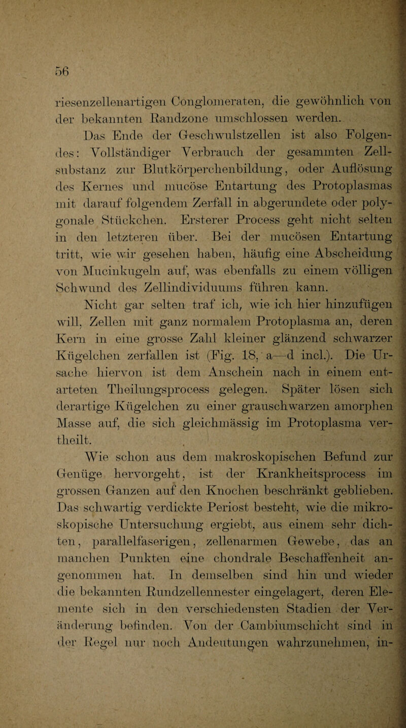 riesenzellenartigen Conglomeraten, die gewöhnlich von der bekannten Randzone umschlossen werden. Das Ende der Geschwulstzellen ist also Folgen¬ des: Vollständiger Verbrauch der gesammten Zell¬ substanz zur Blutkörperchenbildung, oder Auflösung des Kernes und mucöse Entartung des Protoplasmas mit darauf folgendem Zerfall in abgerundete oder poly¬ gonale Stückchen. Festerer Process geht nicht selten in den letzteren über. Bei der mucösen Entartung tritt, wie wir gesehen haben, häufig eine Abscheidung von Mucinkugeln auf, was ebenfalls zu einem völligen Schwund des Zellindividuums führen kann. Nicht gar selten traf ich, wie ich hier hinzufügen will, Zellen mit ganz normalem Protoplasma an, deren Kern in eine grosse Zahl kleiner glänzend schwarzer Kügelchen zerfallen ist (Fig. 18,' a—d incl.). Die Ur¬ sache hiervon ist dem Anschein nach in einem ent¬ arteten Tlieilungsprocess gelegen. Später lösen sich derartige Kügelchen zu einer grauschwarzen amorphen Masse auf, die sich gleichmässig im Protoplasma ver- tlieilt. Wie schon aus dem makroskopischen Befund zur Genüge hervorgeht, ist der Krankheitsprocess im grossen Ganzen auf den Knochen beschränkt geblieben. Das schwartig verdickte Periost besteht, wie die mikro¬ skopische Untersuchung ergiebt, aus einem sehr dich¬ ten , parallelfaserigen, zellenarmen Gewebe, das an manchen Punkten eine chondrale Beschaffenheit an¬ genommen hat. In demselben sind hin und wieder die bekannten Rundzellennester eingelagert, deren Ele¬ mente sich in den verschiedensten Stadien der Ver¬ änderung befinden. Von der Cambiumschicht sind in der Regel nur noch Andeutungen wahrzunehmen, in-