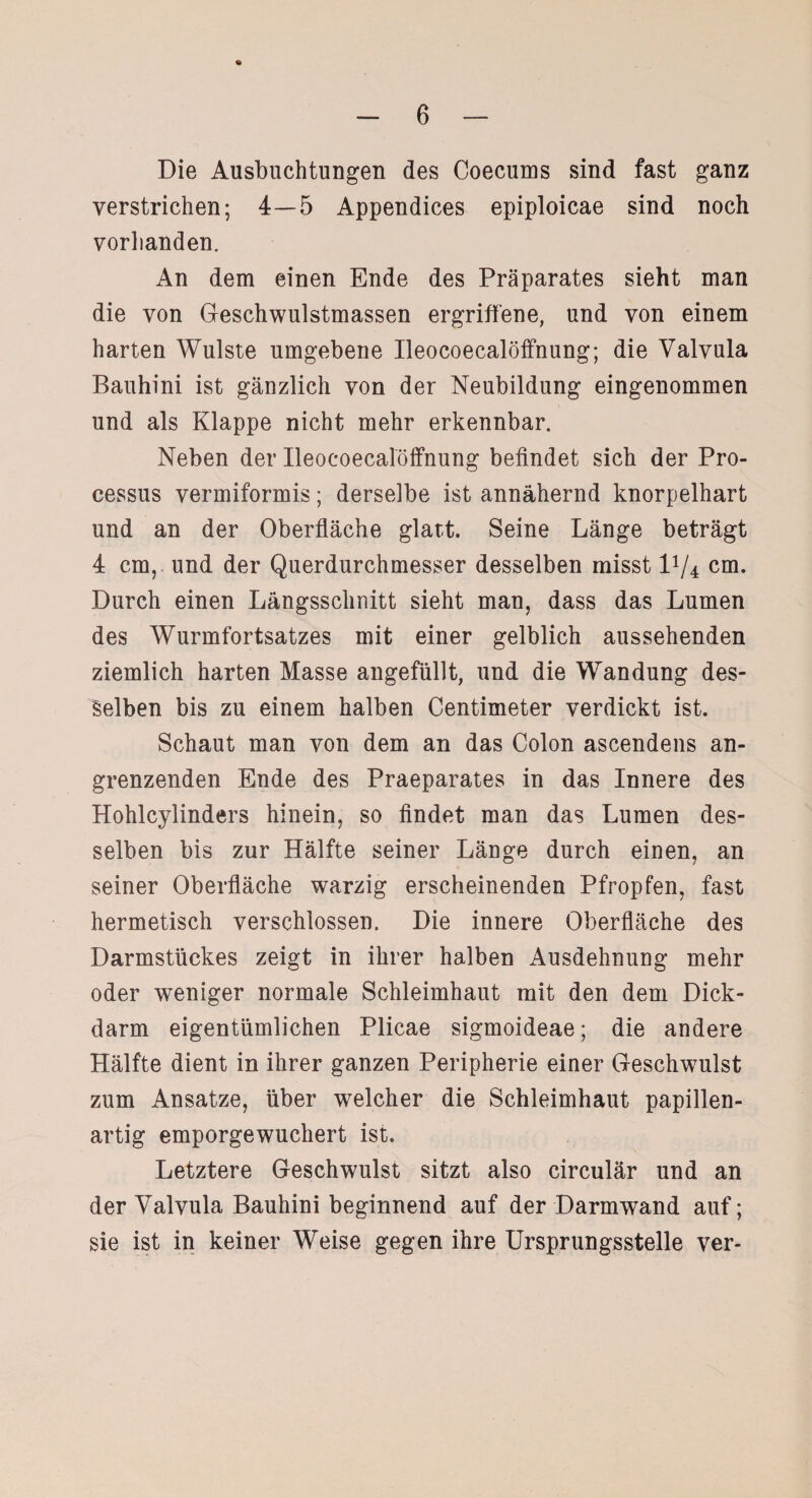 Die Ausbuchtungen des Coecums sind fast ganz verstrichen; 4—5 Appendices epiploicae sind noch vorhanden. An dem einen Ende des Präparates sieht man die von Geschwulstmassen ergriffene, und von einem harten Wulste umgebene Ileocoecalöffnung; die Valvula Bauhini ist gänzlich von der Neubildung eingenommen und als Klappe nicht mehr erkennbar. Neben der Ileocoecalöffnung befindet sich der Pro¬ cessus vermiformis; derselbe ist annähernd knorpelhart und an der Oberfläche glatt. Seine Länge beträgt 4 cm, und der Querdurchmesser desselben misst P/4 cm. Durch einen Längsschnitt sieht man, dass das Lumen des Wurmfortsatzes mit einer gelblich aussehenden ziemlich harten Masse angefüllt, und die Wandung des¬ selben bis zu einem halben Centimeter verdickt ist. Schaut man von dem an das Colon ascendens an¬ grenzenden Ende des Praeparates in das Innere des Hohlcylinders hinein, so findet man das Lumen des¬ selben bis zur Hälfte seiner Länge durch einen, an seiner Oberfläche warzig erscheinenden Pfropfen, fast hermetisch verschlossen. Die innere Oberfläche des Darmstückes zeigt in ihrer halben Ausdehnung mehr oder weniger normale Schleimhaut mit den dem Dick¬ darm eigentümlichen Plicae sigmoideae; die andere Hälfte dient in ihrer ganzen Peripherie einer Geschwulst zum Ansätze, über welcher die Schleimhaut papillen¬ artig emporgewuchert ist. Letztere Geschwulst sitzt also circulär und an der Valvula Bauhini beginnend auf der Darm wand auf; sie ist in keiner Weise gegen ihre Ursprungsstelle ver-