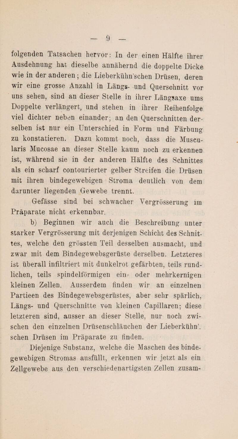 folgenden Tatsachen hervor: In der einen Hälfte ihrer Ausdehnung hat dieselbe annähernd die doppelte Dicke wie in der anderen; die Lieberkiihn’schen Drüsen, deren wir eine grosse Anzahl in Längs- und Querschnitt vor uns sehen, sind an dieser Stelle in ihrer Längsaxe ums Doppelte verlängert, und stehen in ihrer Reihenfolge viel dichter neben einander; an den Querschnitten der¬ selben ist nur ein Unterschied in Form und Färbung zu konstatieren. Dazu kommt noch, dass die Muscu- laris Mucosae an dieser Stelle kaum noch zu erkennen ist, während sie in der anderen Hälfte des Schnittes als ein scharf contourierter gelber Streifen die Drüsen mit ihren bindegewebigen Stroma deutlich von dem darunter liegenden Gewebe trennt. Gefässe sind bei schwacher Vergrösserung im Präparate nicht erkennbar. b) Beginnen wir auch die Beschreibung unter starker Vergrösserung mit derjenigen Schicht des Schnit¬ tes, welche den grössten Teil desselben ausmacht, und zwar mit dem Bindegewebsgerüste derselben. Letzteres ist überall infiltriert mit dunkelrot gefärbten, teils rund¬ lichen, teils spindelförmigen ein= oder mehrkernigen kleinen Zellen. Ausserdem finden wir an einzelnen Partieen des Bindegewebsgerüstes, aber sehr spärlich, Längs- und Querschnitte von kleinen Capillaren; diese letzteren sind, ausser an dieser Stelle, nur noch zwi¬ schen den einzelnen Drüsenschläuchen der Lieberkühn’, sehen Drüsen im Präparate zu finden. Diejenige Substanz, welche die Maschen des binde¬ gewebigen Stromas ausfüllt, erkennen wir jetzt als ein Zellgewebe aus den verschiedenartigsten Zellen zusam-