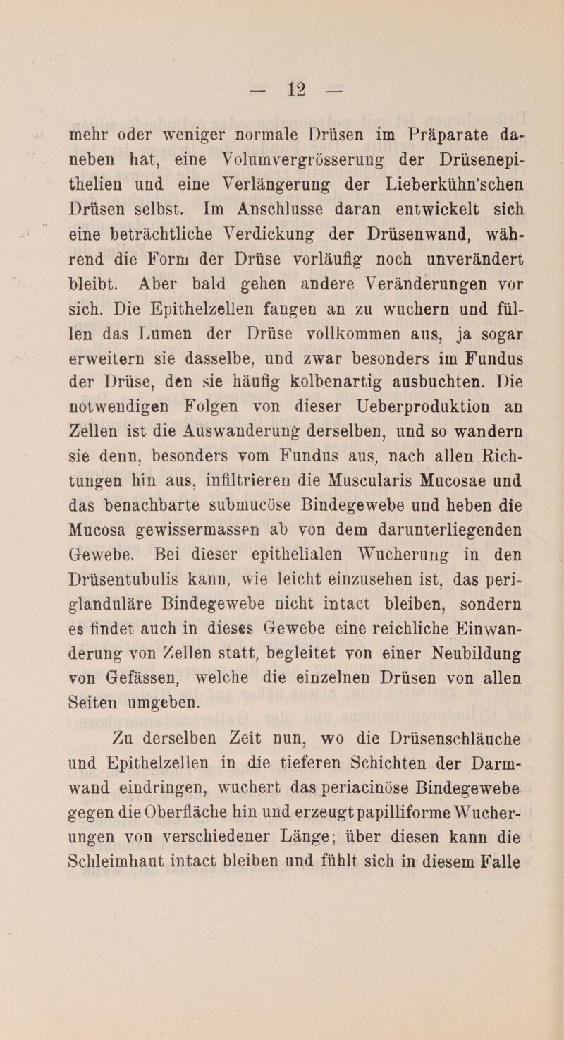 mehr oder weniger normale Drüsen im Präparate da¬ neben hat, eine Volumvergrösserung der Drüsenepi- tlielien und eine Verlängerung der Lieberkühn’schen Drüsen selbst. Im Anschlüsse daran entwickelt sich eine beträchtliche Verdickung der Drüsenwand, wäh¬ rend die Form der Drüse vorläufig noch unverändert bleibt. Aber bald gehen andere Veränderungen vor sich. Die Epithelzellen fangen an zu wuchern und fül¬ len das Lumen der Drüse vollkommen aus, ja sogar erweitern sie dasselbe, und zwar besonders im Fundus der Drüse, den sie häufig kolbenartig ausbuchten. Die notwendigen Folgen von dieser Ueberproduktion an Zellen ist die Auswanderung derselben, und so wandern sie denn, besonders vom Fundus aus, nach allen Sich¬ tungen hin aus, infiltrieren die Muscularis Mucosae und das benachbarte submucöse Bindegewebe und heben die Mucosa gewissermassen ab von dem darunterliegenden Gewebe. Bei dieser epithelialen Wucherung in den Drüsentubulis kann, wie leicht einzusehen ist, das peri¬ glanduläre Bindegewebe nicht intact bleiben, sondern es findet auch in dieses Gewebe eine reichliche Einwan¬ derung von Zellen statt, begleitet von einer Neubildung von Gefässen, welche die einzelnen Drüsen von allen Seiten umgeben. Zu derselben Zeit nun, wo die Drüsenschläuche und Epithelzellen in die tieferen Schichten der Darm¬ wand eindringen, wuchert das periacinöse Bindegewebe gegen die Oberfläche hin und erzeugt papilliforme Wucher¬ ungen von verschiedener Länge; über diesen kann die Schleimhaut intact bleiben und fühlt sich in diesem Falle