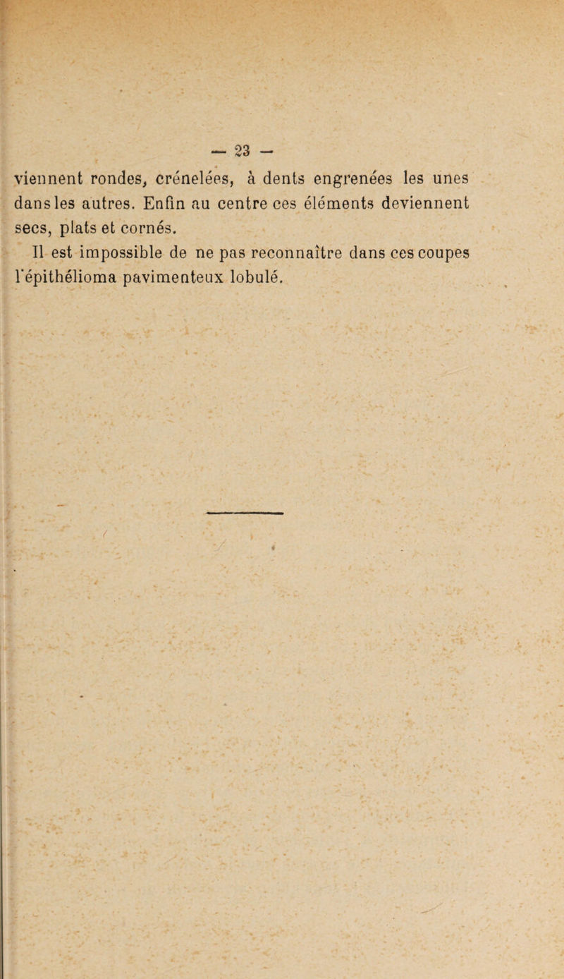 viennent rondes, crénelées, à dents engrenées les unes dans les autres. Enfin au centre ces éléments deviennent secs, plats et cornés. Il est impossible de ne pas reconnaître dans ces coupes répithélioma pavimenteux lobulé. 4