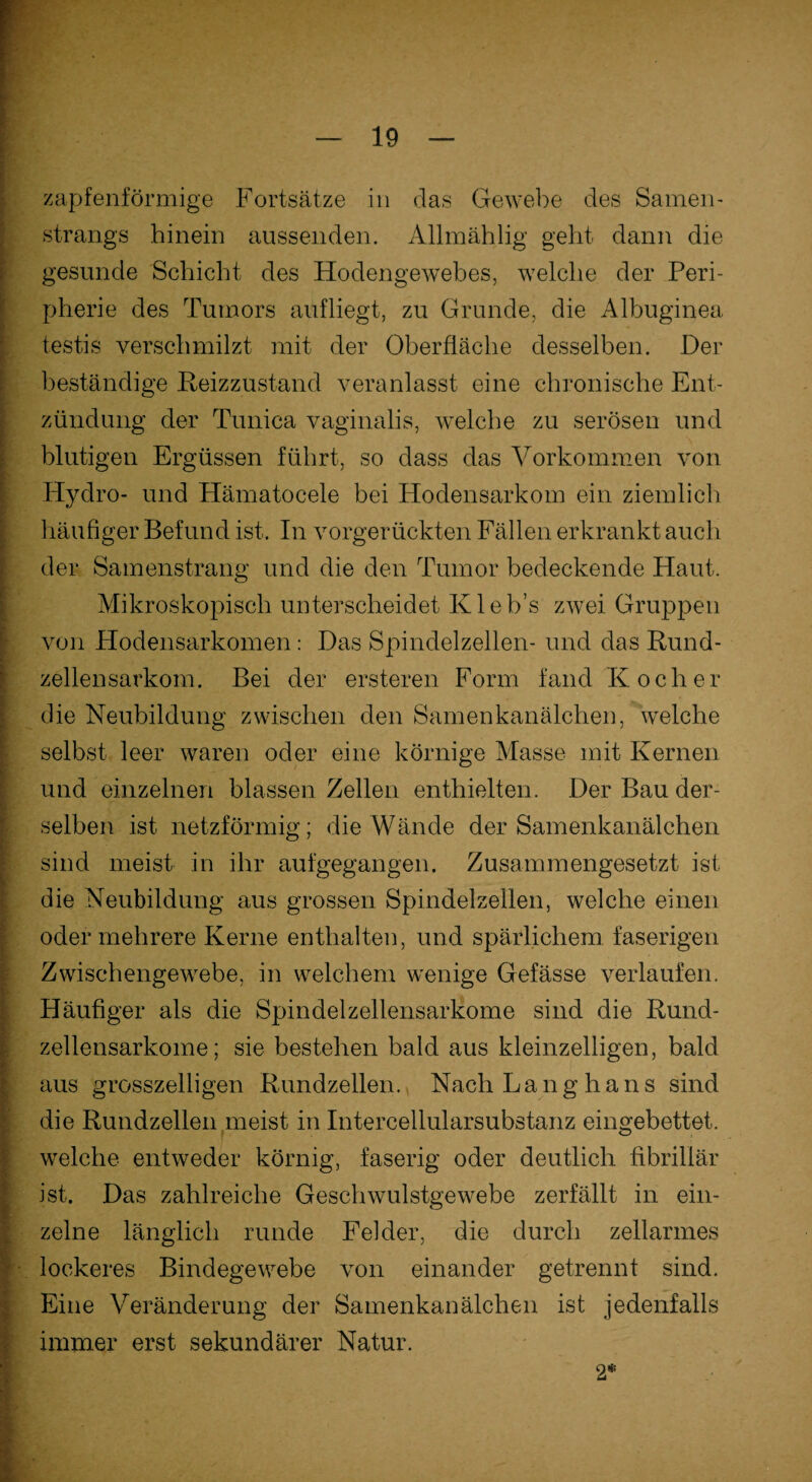 zapfenförmige Fortsätze in das Gewebe des Samen - Strangs hinein aussenden. Allmählig geht dann die gesunde Schicht des Hodengewebes, welche der Peri¬ pherie des Tumors aufliegt, zu Grunde, die Albuginea testis verschmilzt mit der Oberfläche desselben. Der beständige Reizzustand veranlasst eine chronische Ent¬ zündung der Tunica vaginalis, welche zu serösen und blutigen Ergüssen führt, so dass das Vorkommen von Hydro- und Hämatocele bei Hodensarkom ein ziemlich häufiger Befund ist. In vorgerückten Fällen erkrankt auch der Samenstrang und die den Tumor bedeckende Haut. Mikroskopisch unterscheidet Kleb’s zwei Gruppen von Hodensarkomen: Das Spindelzellen- und das Rund¬ zellensarkom. Bei der ersteren Form fand Kocher die Neubildung zwischen den Samenkanälchen, welche selbst leer waren oder eine körnige Masse mit Kernen und einzelnen blassen Zellen enthielten. Der Bau der¬ selben ist netzförmig; die Wände der Samenkanälchen sind meist in ihr aufgegangen. Zusammengesetzt ist die Neubildung aus grossen Spindelzellen, welche einen oder mehrere Kerne enthalten, und spärlichem faserigen Zwischengewebe, in welchem wenige Gefässe verlaufen. Häufiger als die Spindelzellensarkome sind die Rund¬ zellensarkome; sie bestehen bald aus kleinzelligen, bald aus grosszeiligen Rundzellen. Nach Lang ha ns sind die Rundzellen meist in Intercellularsubstanz eingebettet, welche entweder körnig, faserig oder deutlich fibrillär ist. Das zahlreiche Geschwulstgewebe zerfällt in ein¬ zelne länglich runde Felder, die durch zellarmes lockeres Bindegewebe von einander getrennt sind. Eine Veränderung der Samenkanälchen ist jedenfalls immer erst sekundärer Natur. 2*