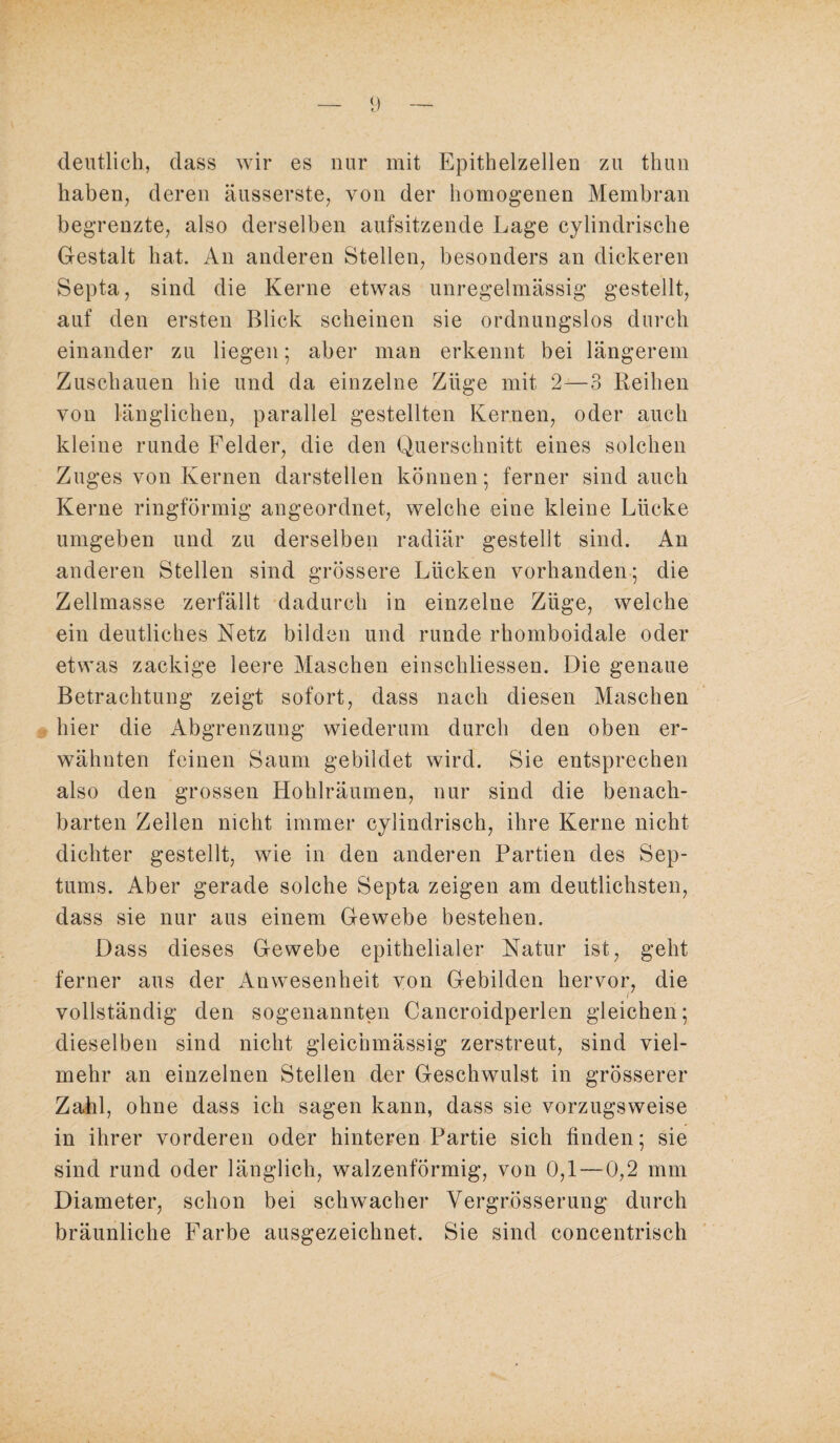 deutlich, dass wir es nur mit Epithelzellen zu thun haben, deren äusserste, von der homogenen Membran begrenzte, also derselben aufsitzende Lage cylindrische Gestalt hat« An anderen Stellen, besonders an dickeren Septa, sind die Kerne etwas unregelmässig gestellt, auf den ersten Blick scheinen sie ordnungslos durch einander zu liegen; aber man erkennt bei längerem Zuschauen hie und da einzelne Züge mit 2—3 Reihen von länglichen, parallel gestellten Kernen, oder auch kleine runde Felder, die den Querschnitt eines solchen Zuges von Kernen darstellen können; ferner sind auch Kerne ringförmig angeordnet, welche eine kleine Lücke umgeben und zu derselben radiär gestellt sind. An anderen Stellen sind grössere Lücken vorhanden; die Zellmasse zerfällt dadurch in einzelne Züge, welche ein deutliches Netz bilden und runde rhomboidale oder etwas zackige leere Maschen einschliessen. Die genaue Betrachtung zeigt sofort, dass nach diesen Maschen hier die Abgrenzung wiederum durch den oben er¬ wähnten feinen Saum gebildet wird. Sie entsprechen also den grossen Hohlräumen, nur sind die benach¬ barten Zellen nicht immer cylindrisch, ihre Kerne nicht dichter gestellt, wie in den anderen Partien des Sep¬ tums. Aber gerade solche Septa zeigen am deutlichsten, dass sie nur aus einem Gewebe bestehen. Dass dieses Gewebe epithelialer Natur ist, geht ferner aus der Anwesenheit von Gebilden hervor, die vollständig den sogenannten Cancroidperlen gleichen; dieselben sind nicht gleichmässig zerstreut, sind viel¬ mehr an einzelnen Stellen der Geschwulst in grösserer Zahl, ohne dass ich sagen kann, dass sie vorzugsweise in ihrer vorderen oder hinteren Partie sich finden; sie sind rund oder länglich, walzenförmig, von 0,1—0,2 mm Diameter, schon bei schwacher Vergrösserung durch bräunliche Farbe ausgezeichnet. Sie sind concentrisch