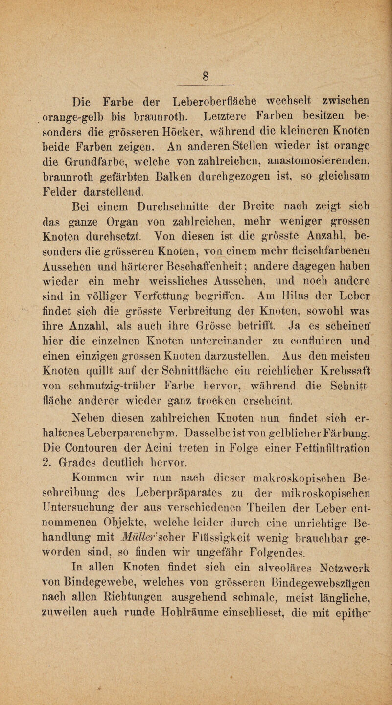 Die Farbe der Leberoberfläehe wechselt zwischen orange-gelb bis braunroth. Letztere Farben besitzen be¬ sonders die grösseren Höcker, während die kleineren Knoten beide Farben zeigen. An anderen Stellen wieder ist orange die Grundfarbe, welche von zahlreichen, anastomosierenden, braunroth gefärbten Balken durchgezogen ist, so gleichsam Felder darstellend. Bei einem Durchschnitte der Breite nach zeigt sich das ganze Organ von zahlreichen, mehr weniger grossen Knoten durchsetzt. Von diesen ist die grösste Anzahl, be¬ sonders die grösseren Knoten, von einem mehr fleischfarbenen Aussehen und härterer Beschaffenheit; andere dagegen haben wieder ein mehr weissliches Aussehen, und noch andere sind in völliger Verfettung begriffen. Am Hilus der Leber findet sich die grösste Verbreitung der Knoten, sowohl was ihre Anzahl, als auch ihre Grösse betrifft. Ja es scheinen hier die einzelnen Knoten untereinander zu confluiren und einen einzigen grossen Knoten darzustellen. Aus den meisten Knoten quillt auf der Schnittfläche ein reichlicher Krebssaft von schmutzig-trüber Farbe hervor, während die Schnitt¬ fläche anderer wieder ganz trocken erscheint. Neben diesen zahlreichen Knoten nun findet sich er¬ haltenes Leberparenchym. Dasselbe ist von gelblicher Färbung. Die Contouren der Acini treten in Folge einer Fettinfiltration 2. Grades deutlich hervor. Kommen wir nun nach dieser makroskopischen Be¬ schreibung des Leberpräparates zu der mikroskopischen Untersuchung der aus verschiedenen Theilen der Leber ent¬ nommenen Objekte, welche leider durch eine unrichtige Be¬ handlung mit Müller scher Flüssigkeit wenig brauchbar ge¬ worden sind, so finden wir ungefähr Folgendes. In allen Knoten findet sich ein alveoläres Netzwerk von Bindegewebe, welches von grösseren Bindegewehszügen nach allen Richtungen ausgehend schmale, meist längliche, zuweilen auch runde Hohlräume einschliesst, die mit epitber