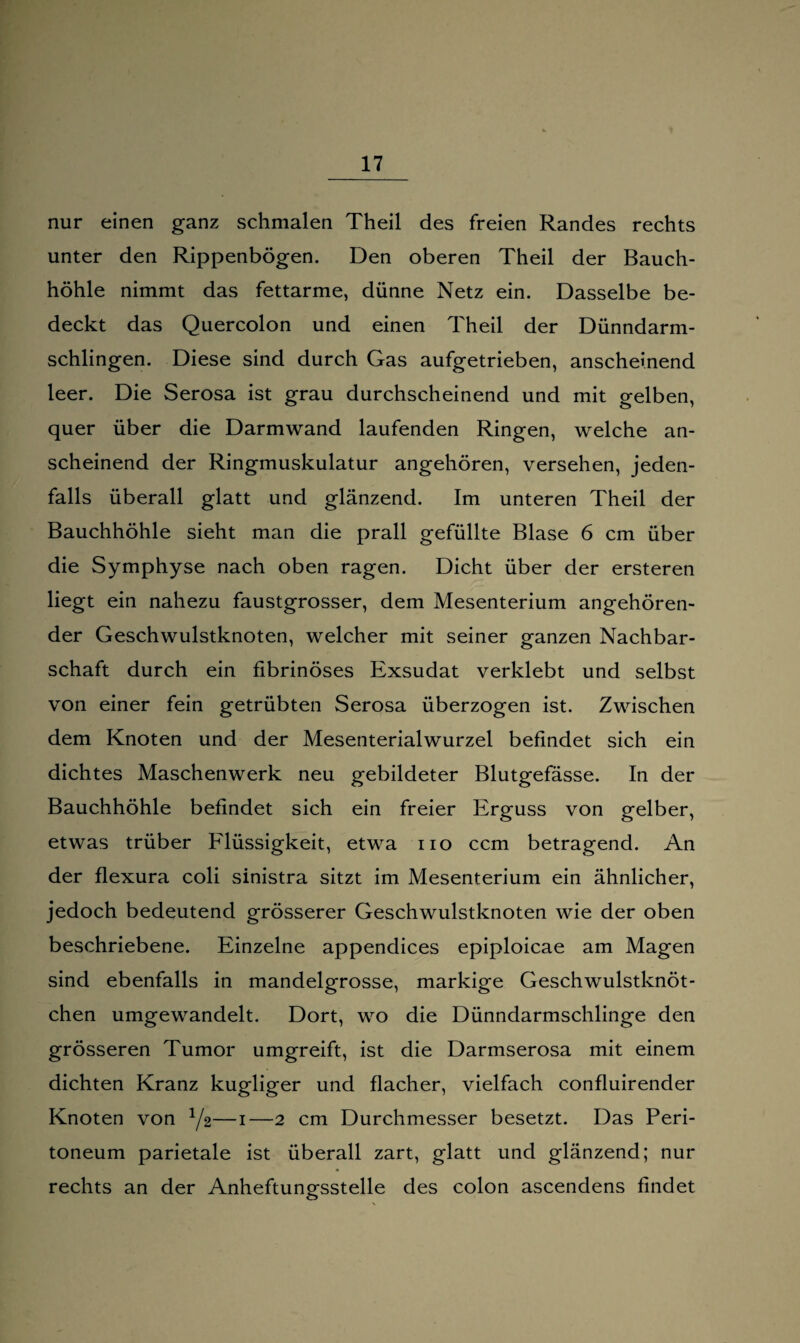nur einen ganz schmalen Theil des freien Randes rechts unter den Rippenbögen. Den oberen Theil der Bauch¬ höhle nimmt das fettarme, dünne Netz ein. Dasselbe be¬ deckt das Quercolon und einen Theil der Dünndarm¬ schlingen. Diese sind durch Gas aufgetrieben, anscheinend leer. Die Serosa ist grau durchscheinend und mit gelben, quer über die Darmwand laufenden Ringen, welche an¬ scheinend der Ringmuskulatur angehören, versehen, jeden¬ falls überall glatt und glänzend. Im unteren Theil der Bauchhöhle sieht man die prall gefüllte Blase 6 cm über die Symphyse nach oben ragen. Dicht über der ersteren liegt ein nahezu faustgrosser, dem Mesenterium angehören¬ der Geschwulstknoten, welcher mit seiner ganzen Nachbar¬ schaft durch ein fibrinöses Exsudat verklebt und selbst von einer fein getrübten Serosa überzogen ist. Zwischen dem Knoten und der Mesenterialwurzel befindet sich ein dichtes Maschenwerk neu gebildeter Blutgefässe. In der Bauchhöhle befindet sich ein freier Erguss von gelber, etwas trüber Flüssigkeit, etwa iio ccm betragend. An der flexura coli sinistra sitzt im Mesenterium ein ähnlicher, jedoch bedeutend grösserer Geschwulstknoten wie der oben beschriebene. Einzelne appendices epiploicae am Magen sind ebenfalls in mandelgrosse, markige Geschwulstknöt¬ chen umgewandelt. Dort, wo die Dünndarmschlinge den grösseren Tumor umgreift, ist die Darmserosa mit einem dichten Kranz kugliger und flacher, vielfach confluirender Knoten von 1/2—i—2 cm Durchmesser besetzt. Das Peri¬ toneum parietale ist überall zart, glatt und glänzend; nur rechts an der Anheftungsstelle des colon ascendens findet