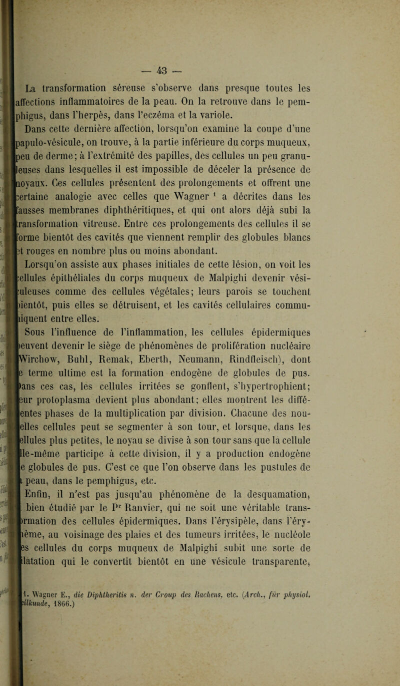 La transformation séreuse s’observe dans presque toutes les affections inflammatoires de la peau. On la retrouve dans le pem- phigus, dans l’herpès, dans l’eczéma et la variole. Dans cette dernière affection, lorsqu’on examine la coupe d’une papulo-vésicule, on trouve, à la partie inférieure du corps muqueux, peu de derme; à l’extrémité des papilles, des cellules un peu granu¬ leuses dans lesquelles il est impossible de déceler la présence de loyaux. Ces cellules présentent des prolongements et offrent une certaine analogie avec celles que Wagner 1 a décrites dans les fausses membranes diphthéritiques, et qui ont alors déjà subi la :ransformation vitreuse. Entre ces prolongements des cellules il se forme bientôt des cavités que viennent remplir des globules blancs jt rouges en nombre plus ou moins abondant. Lorsqu'on assiste aux phases initiales de cette lésion, on voit les kellules épithéliales du corps muqueux de Malpighi devenir vési- puleuses comme des cellules végétales; leurs parois se touchent bientôt, puis elles se détruisent, et les cavités cellulaires commu¬ niquent entre elles. Sous l’influence de l’inflammation, les cellules épidermiques peuvent devenir le siège de phénomènes de prolifération nucléaire [Wirchow, Buhl, Remak, Eberth, Neumann, Rindtleisch), dont le terme ultime est la formation endogène de globules de pus. |)ans ces cas, les cellules irritées se gonflent, s’hypertrophient; pur protoplasma devient plus abondant; elles montrent les diffé¬ rentes phases de la multiplication par division. Chacune des nou- lelles cellules peut se segmenter à son tour, et lorsque, dans les pilules plus petites, le noyau se divise à son tour sans que la cellule Ile-même participe à cette division, il y a production endogène le globules de pus. C’est ce que l’on observe dans les pustules de t peau, dans le pemphigus, etc. I Enfin, il n'est pas jusqu’au phénomène de la desquamation* I bien étudié par le Pr Ranvier, qui ne soit une véritable trans- Irmation des cellules épidermiques. Dans l’érysipèle, dans l’éry- lième, au voisinage des plaies et des tumeurs irritées, le nucléole les cellules du corps muqueux de Malpighi subit une sorte de ■datation qui le convertit bientôt en une vésicule transparente, 11. Wagner E., die Diphtheritis ». der Croup des Hachens, etc. (Arcli., für physioL filkunde, 1866.)