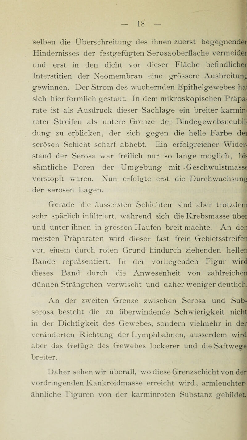 selben die Überschreitung- des ihnen zuerst begegnende! Hindernisses der festgefügten Serosaoberfläche vermeide! und erst in den dicht vor dieser Fläche befindlicher Interstitien der Neomembran eine grössere Ausbreitung gewinnen. Der Strom des wuchernden Epithelgewebes ha' sich hier förmlich gestaut. In dem mikroskopischen Präpa rate ist als Ausdruck dieser Sachlage ein breiter karmin roter Streifen als untere Grenze der Bindegewebsneubil düng zu erblicken, der sich gegen die helle Farbe der serösen Schicht scharf abhebt. Ein erfolgreicher Wider¬ stand der Serosa war freilich nur so lange möglich, bfi sämtliche Poren der Umgebung mit -Geschwulstmass( verstopft waren. Nun erfolgte erst die Durchwachsung der serösen Lagen. Gerade die äussersten Schichten sind aber trotzdem sehr spärlich infiltriert, während sich die Krebsmasse übei und unter ihnen in grossen Haufen breit machte. An der meisten Präparaten wird dieser fast freie Gebietsstreifer von einem durch roten Grund hindurch ziehenden heller Bande repräsentiert. In der vorliegenden Figur wird dieses Band durch die Anwesenheit von zahlreichen dünnen Strängchen verwischt und daher weniger deutlich. An der zweiten Grenze zwischen Serosa und Sub- serosa besteht die zu überwindende Schwierigkeit nicht in der Dichtigkeit des GeAvebes, sondern vielmehr in der veränderten Richtung der Lymphbahnen, ausserdem wird aber das Gefüge des Gewebes lockerer und die Saftwege breiter. Daher sehen wir überall, wo diese Grenzschicht von der vordringenden Kankroidmasse erreicht wird, armleuchter¬ ähnliche Figuren von der karminroten Substanz gebildet.