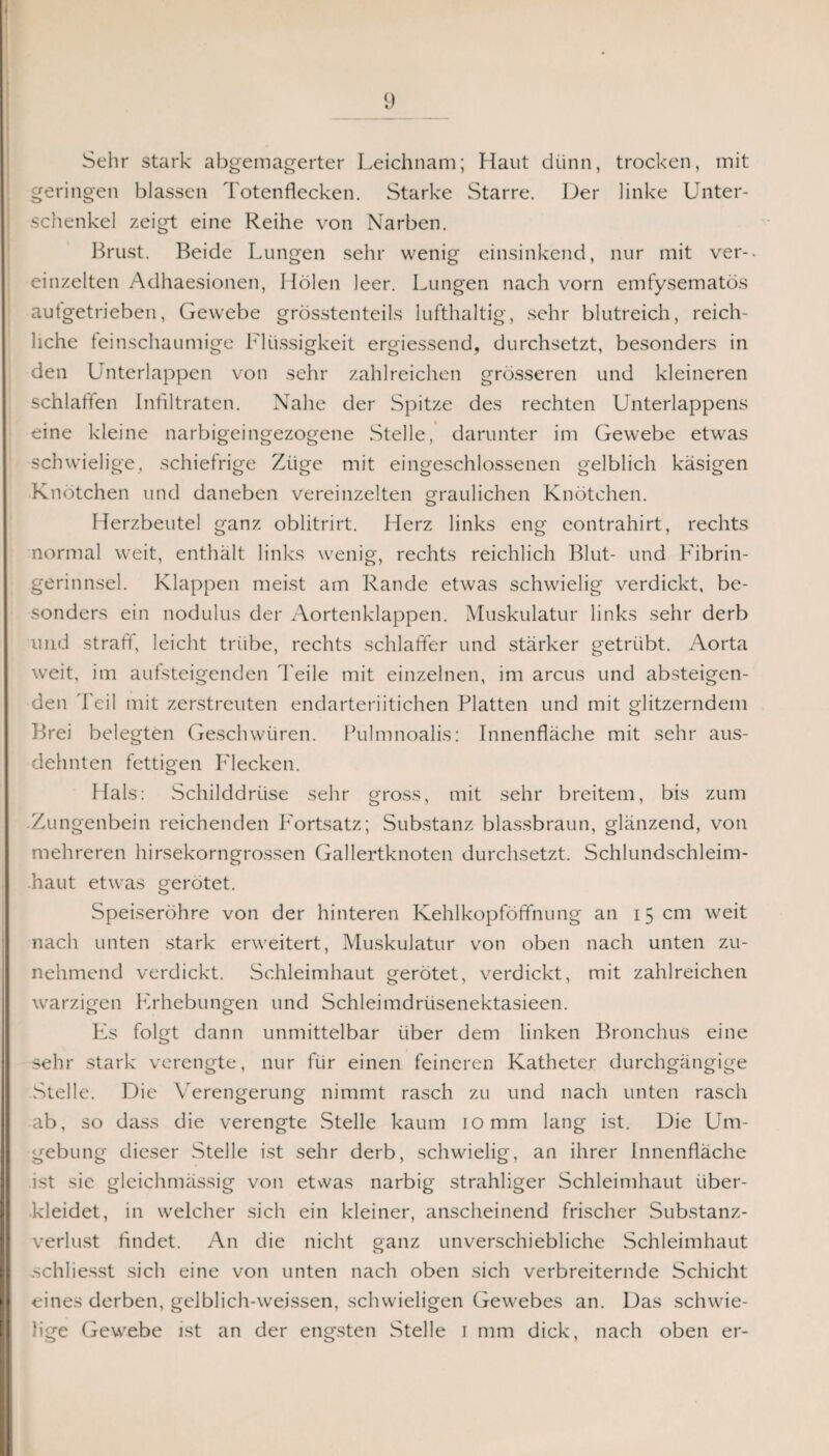 Sehr stark abgemagerter Leichnam; Haut dünn, trocken, mit geringen blassen Totenflecken. Starke Starre. Der linke Unter¬ schenkel zeigt eine Reihe von Narben. Brust. Beide Lungen sehr wenig einsinkend, nur mit ver¬ einzelten Adhaesionen, Holen leer. Lungen nach vorn emfysematös autgetrieben, Gewebe grösstenteils lufthaltig, sehr blutreich, reich¬ liche leinschaumige Flüssigkeit ergiessend, durchsetzt, besonders in den Unterlappen von sehr zahlreichen grösseren und kleineren schlaffen Infiltraten. Nahe der Spitze des rechten Unterlappens eine kleine narbigeingezogene Stelle, darunter im Gewebe etwas schwielige, schiefrige Züge mit eingeschlossenen gelblich käsigen Knötchen und daneben vereinzelten graulichen Knötchen. Herzbeutel ganz oblitrirt. Herz links eng eontrahirt, rechts normal weit, enthält links wenig, rechts reichlich Blut- und Fibrin¬ gerinnsel. Klappen meist am Rande etwas schwielig verdickt, be¬ sonders ein nodulus der Aortenklappen. Muskulatur links sehr derb und straff, leicht trübe, rechts schlaffer und stärker getrübt. Aorta weit, im aufsteigenden Teile mit einzelnen, im arcus und absteigen¬ den Teil mit zerstreuten endarteriitichen Platten und mit glitzerndem Brei belegten Geschwüren. Pulmnoalis: Innenfläche mit sehr aus¬ dehnten fettigen P'lecken. Hais: Schilddrüse sehr gross, mit sehr breitem, bis zum Zungenbein reichenden Fortsatz; Substanz blassbraun, glänzend, von mehreren hirsekorngrossen Gallertknoten durchsetzt. Schlundschleim- haut etwas ererbtet. o Speiseröhre von der hinteren Kehlkopföffnung an 15 cm weit nach unten stark erweitert, Muskulatur von oben nach unten zu¬ nehmend verdickt. Schleimhaut gerötet, verdickt, mit zahlreichen warzigen PVhebungen und Schleimdriisenektasieen. Es folgt dann unmittelbar über dem linken Bronchus eine sehr stark verengte, nur für einen feineren Katheter durchgängige Stelle. Die Verengerung nimmt rasch zu und nach unten rasch ab, so dass die verengte Stelle kaum 10 mm lang ist. Die Um¬ gebung dieser Stelle ist sehr derb, schwielig, an ihrer Innenfläche ist sie gleichmässig von etwas narbig strahliger Schleimhaut iiber- kleidet, in welcher sich ein kleiner, anscheinend frischer Substanz¬ verlust findet. An die nicht ganz unverschiebliche Schleimhaut schliesst sich eine von unten nach oben sich verbreiternde Schicht eines derben, gelblich-weissen, schwieligen Gewebes an. Das schwie¬ lige Gewebe ist an der engsten Stelle 1 mm dick, nach oben er-