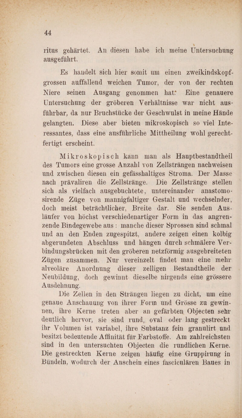 ritus gehärtet. An diesen habe ich meine Untersuchung ausgeführt. Es handelt sich hier somit um einen zweikindskopf¬ grossen auffallend weichen Tumor, der von der rechten Niere seinen Ausgang genommen hat: Eine genauere Untersuchung der gröberen Verhältnisse war nicht aus¬ führbar, da nur Bruchstücke der Geschwulst in meine Hände gelangtem Diese aber bieten mikroskopisch so viel Inte¬ ressantes, dass eine ausführliche Mittheilung wohl gerecht¬ fertigt erscheint. Mikroskopisch kann man als Hauptbestandtheil des Tumors eine grosse Anzahl von Zellsträngen nachweisen und zwischen diesen ein gefässhaltiges Stroma. Der Masse nach prävaliren die Zellstränge. Die Zellstränge stellen sich als vielfach ausgebuchtete, untereinander anastomo- sirende Züge von mannigfaltiger Gestalt und wechselnder, doch meist beträchtlicher, Breite dar. Sie senden Aus¬ läufer von höchst verschiedenartiger Form in das angren¬ zende Bindegewebe aus : manche dieser Sprossen sind schmal und an den Enden zugespitzt, andere zeigen einen kolbig abgerundeten Abschluss und hängen durch schmälere Ver¬ bindungsbrücken mit den gröberen netzförmig ausgebreiteten Zügen zusammen. Nur vereinzelt findet man eine mehr alveoläre Anordnung dieser zelligen Bestandtheile der Neubildung, doch gewinnt dieselbe nirgends eine grössere Ausdehnung. Die Zellen in den Strängen liegen zu dicht, um eine genaue Anschauung von ihrer Form und Grösse zu gewin¬ nen, ihre Kerne treten aber an gefärbten Objecten sehr deutlich hervor, sie sind rund, oval oder lang gestreckt ihr Volumen ist variabel, ihre Substanz fein granulirt und besitzt bedeutende Affinität für Farbstoffe. Am zahlreichsten sind in den untersuchten Objecten die rundlichen Kerne. Die gestreckten Kerne zeigen häufig eine Gruppirung in Bündeln, wodurch der Anschein eines fasciculären Baues in