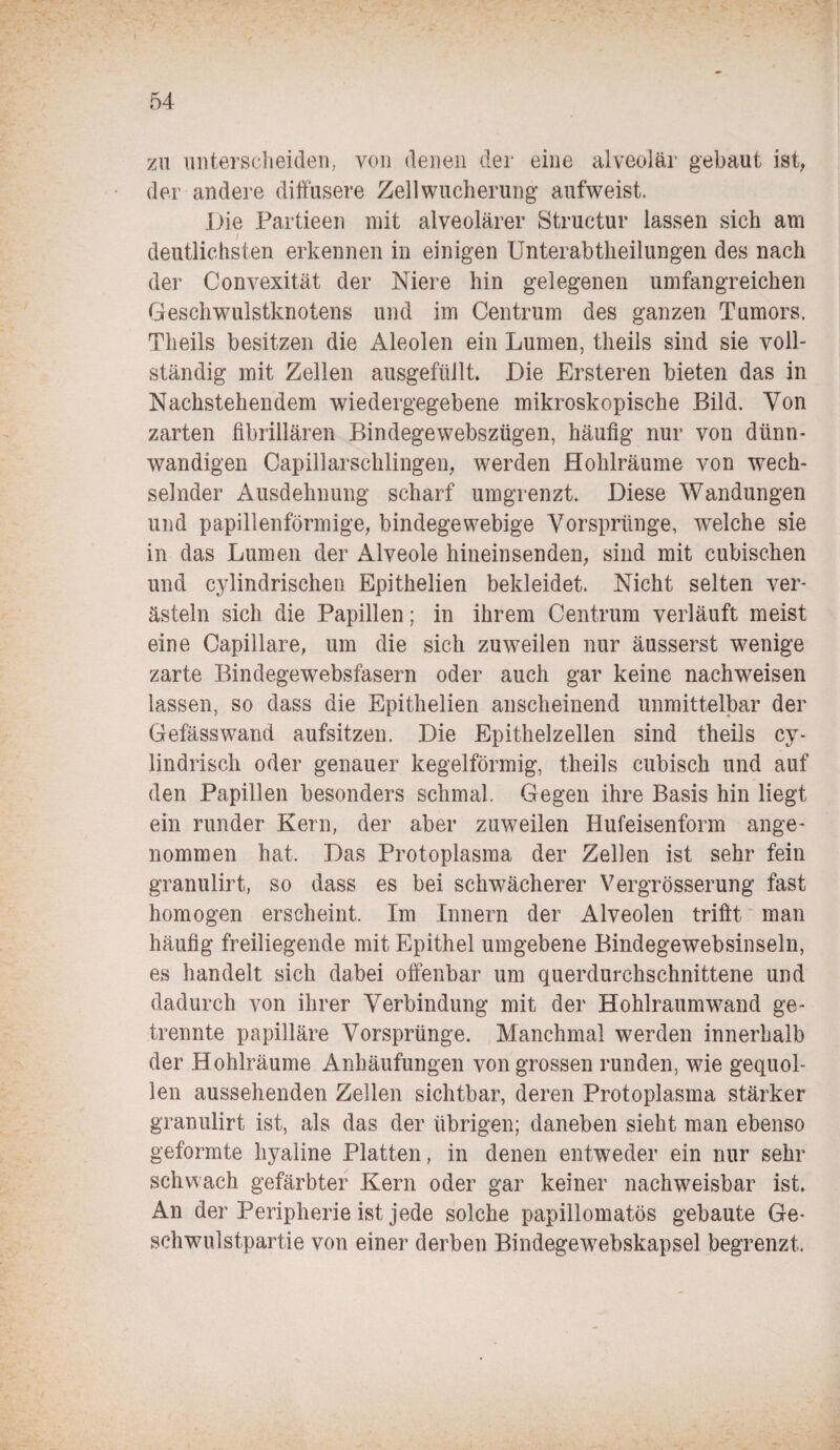 zu unterscheiden, von denen der eine alveolär gebaut ist, der andere diffusere Zellwucherung aufweist. Die Partieen mit alveolärer Structur lassen sich am deutlichsten erkennen in einigen Unterabtheilungen des nach der Convexität der Niere hin gelegenen umfangreichen Geschwulstknotens und im Centrum des ganzen Tumors. Theils besitzen die Aleolen ein Lumen, theiis sind sie voll¬ ständig mit Zellen ausgefüllt. Die Ersteren bieten das in Nachstehendem wiedergegebene mikroskopische Bild. Von zarten fibrillären Bindegewebszügen, häufig nur von dünn¬ wandigen Capillarschlingen, werden Hohlräume von wech¬ selnder Ausdehnung scharf umgrenzt Diese Wandungen und papillenförmige, bindegewebige Vorsprünge, welche sie in das Lumen der Alveole hineinsenden, sind mit cubischen und cylindrischen Epithelien bekleidet. Nicht selten ver¬ ästeln sich die Papillen; in ihrem Centrum verläuft meist eine Capillare, um die sich zuweilen nur äusserst wenige zarte Bindegewebsfasern oder auch gar keine nachweisen lassen, so dass die Epithelien anscheinend unmittelbar der Gefässwand aufsitzen. Die Epithelzellen sind theils cy- lindrisch oder genauer kegelförmig, theils cubisch und auf den Papillen besonders schmal. Gegen ihre Basis hin liegt ein runder Kern, der aber zuweilen Hufeisenform ange¬ nommen hat. Das Protoplasma der Zellen ist sehr fein granulirt, so dass es bei schwächerer Vergrösserung fast homogen erscheint. Im Innern der Alveolen trifft man häufig freiliegende mit Epithel umgebene Bindegewebsinseln, es handelt sich dabei offenbar um querdurchschnittene und dadurch von ihrer Verbindung mit der Hohlraumwand ge¬ trennte papilläre Vorsprünge. Manchmal werden innerhalb der Hohlräume Anhäufungen von grossen runden, wie gequol¬ len aussehenden Zellen sichtbar, deren Protoplasma stärker granulirt ist, als das der übrigen; daneben sieht man ebenso geformte hyaline Platten, in denen entweder ein nur sehr schwach gefärbter Kern oder gar keiner nachweisbar ist. An der Peripherie ist jede solche papillomatös gebaute Ge¬ schwulstpartie von einer derben Bindegewebskapsel begrenzt.