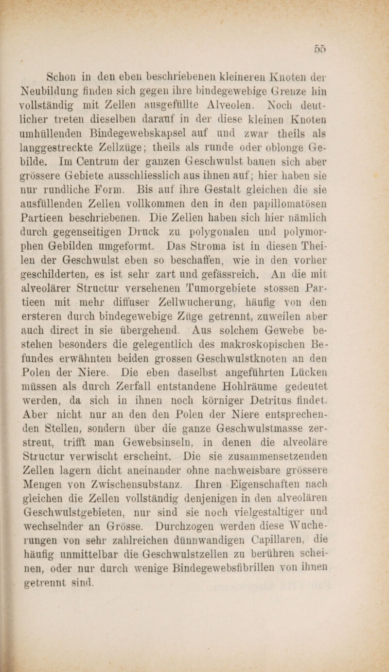 Neubildung finden sich gegen ihre bindegewebige Grenze hin vollständig mit Zellen ausgefüllte Alveolen. Noch deut¬ licher treten dieselben darauf in der diese kleinen Knoten umhüllenden Bindegewebskapsel auf und zwar theils als langgestreckte Zellzüge; theils als runde oder oblonge Ge¬ bilde. Im Centrum der ganzen Geschwulst bauen sich aber grössere Gebiete ausschliesslich aus ihnen auf; hier haben sie nur rundliche Form. Bis auf ihre Gestalt gleichen die sie ausfüllenden Zellen vollkommen den in den papillomatösen Partieen beschriebenen. Die Zellen haben sich hier nämlich durch gegenseitigen Druck zu polygonalen und polymor¬ phen Gebilden umgeformt. Das Stroma ist in diesen Thei- len der Geschwulst eben so beschaffen, wie in den vorher geschilderten; es ist sehr zart und gefässreich. An die mit alveolärer Structur versehenen Tumorgebiete stossen Par¬ tieen mit mehr diffuser Zellwucherung, häufig von den ersteren durch bindegewebige Züge getrennt, zuweilen aber auch direct in sie übergehend. Aus solchem Gewebe be¬ stehen besonders die gelegentlich des makroskopischen Be¬ fundes erwähnten beiden grossen Gesclrwulstknoten an den Polen der Niere. Die eben daselbst angeführten Lücken müssen als durch Zerfall entstandene Hohlräume gedeutet werden, da sich in ihnen noch körniger Detritus findet. Aber nicht nur an den den Polen der Niere entsprechen¬ den Stellen, sondern über die ganze Geschwulstmasse zer¬ streut, trifft man Gewebsinseln, in denen die alveoläre Structur verwischt erscheint. Die sie zusammensetzenden Zellen lagern dicht aneinander ohne nachweisbare grössere Mengen von Zwischensubstanz. Ihren Eigenschaften nach gleichen die Zellen vollständig denjenigen in den alveolären Geschwulstgebieten, nur sind sie noch vielgestaltiger und wechselnder an Grösse. Durchzogen werden diese Wuche¬ rungen von sehr zahlreichen dünnwandigen Capillaren, die häufig unmittelbar die Geschwulstzellen zu berühren schei¬ nen, oder nur durch wenige Bindegewebsfibrillen von ihnen getrennt sind.