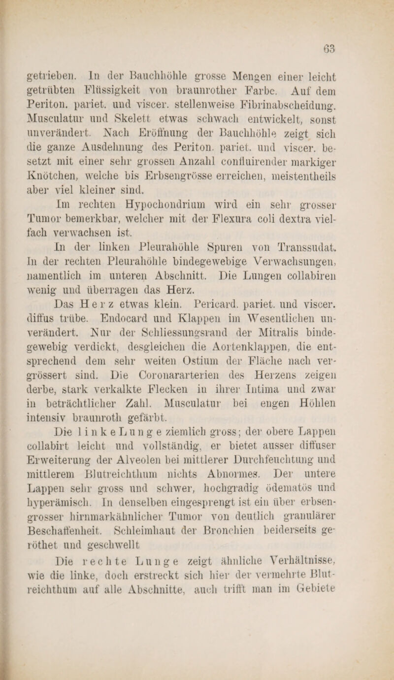 getrieben, ln der Bauchhöhle grosse Mengen einer leicht getrübten Flüssigkeit von braunrother Farbe. Auf dem Periton. pariet. und viscer. stellenweise Fibrinabscheidung. Musculatur und Skelett etwas schwach entwickelt, sonst unverändert. Nach Eröffnung der Bauchhöhle zeigt sich die ganze Ausdehnung des Periton. pariet. und viscer. be¬ setzt mit einer sehr grossen Anzahl coniiuirender markiger Knötchen, welche bis Erbsengrösse erreichen, meistenteils aber viel kleiner sind. Im rechten Hypochondrium wird ein sehr grosser Tumor bemerkbar, welcher mit der Flexura coli dextra viel¬ fach verwachsen ist. In der linken Pleurahöhle Spuren von Transsudat. In der rechten Pleurahöhle bindegewebige Verwachsungen, namentlich im unteren Abschnitt. Die Lungen collabiren wenig und überragen das Herz. Das Herz etwas klein. Pericard, pariet. und viscer. diffus trübe. Endocard und Klappen im Wesentlichen un¬ verändert. Nur der Schliessungsrand der Mitralis binde¬ gewebig verdickt, desgleichen die Aortenklappen, die ent¬ sprechend dem sehr weiten Ostium der Fläche nach ver- grössert sind. Die Coronararterien des Herzens zeigen derbe, stark verkalkte Flecken in ihrer Intima und zwar in beträchtlicher Zahl. Musculatur bei engen Höhlen intensiv braunroth gefärbt. Die linke Lunge ziemlich gross; der obere Lappen collabirt leicht und vollständig, er bietet ausser diffuser Erweiterung der Alveolen bei mittlerer Durchfeuchtung und mittlerem Blutreichthum nichts Abnormes. Der untere Lappen sehr gross und schwer, hochgradig üdematös und hyperämisch. In denselben eingesprengt ist ein über erbsen¬ grosser hirnmarkähnlicher Tumor von deutlich granulärer Beschaffenheit. Schleimhaut der Bronchien beiderseits ge- röthet und geschwellt Die rechte Lunge zeigt ähnliche Verhältnisse, wie die linke, doch erstreckt sich hier der vermehrte Blut¬ reichthum auf alle Abschnitte, auch trifft man im Gebiete