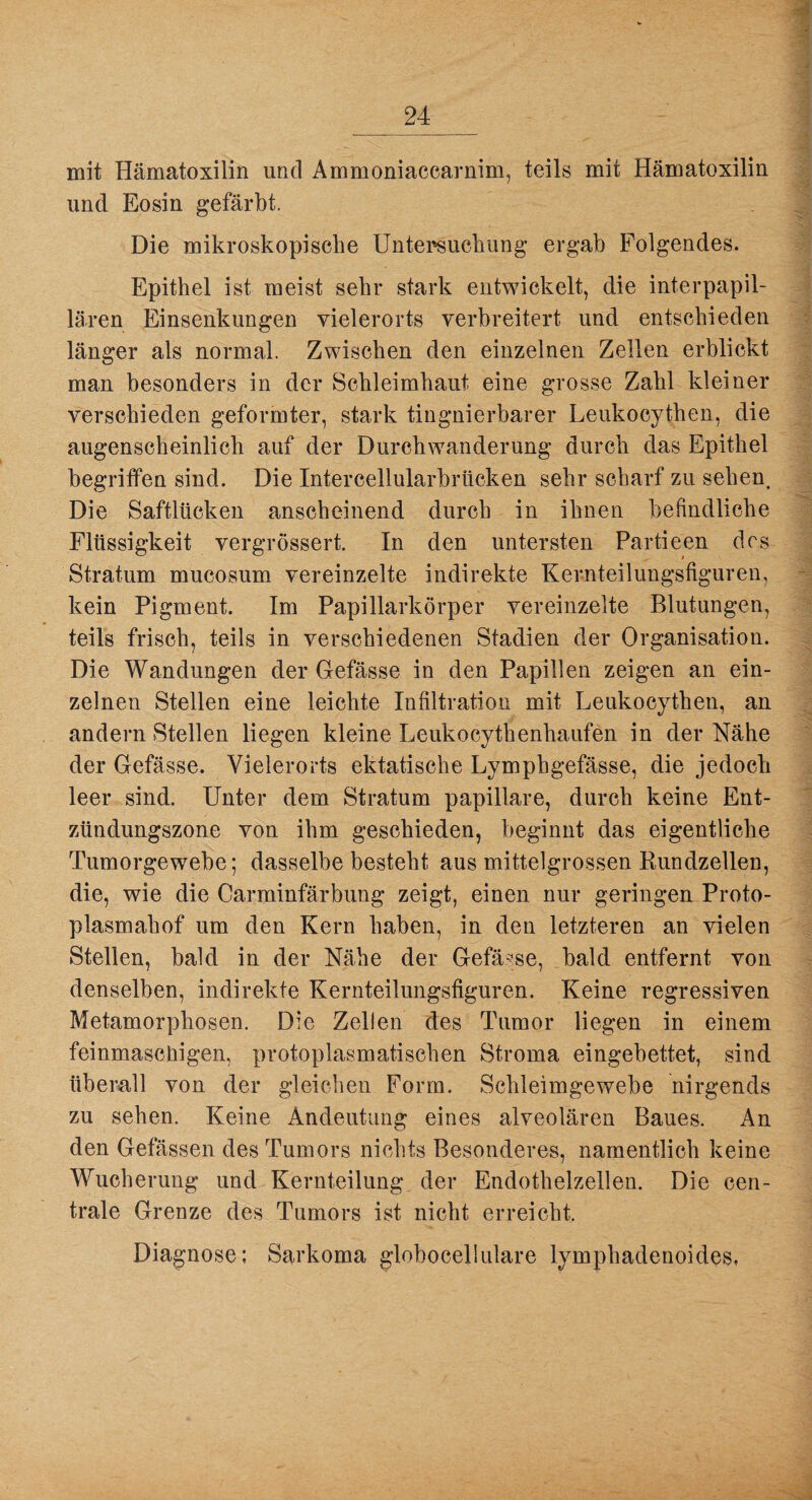 mit Hämatoxilin und Ammoniaccarnim, und Eosin gefärbt. teils mit Hämatoxilin Die mikroskopische Untersuchung ergab Folgendes. Epithel ist meist sehr stark entwickelt, die interpapil¬ lären Einsenkungen vielerorts verbreitert und entschieden länger als normal. Zwischen den einzelnen Zellen erblickt man besonders in der Schleimhaut eine grosse Zahl kleiner verschieden geformter, stark tingnierbarer Leukocythen, die augenscheinlich auf der Durchwanderung durch das Epithel begriffen sind. Die Intercellularbrücken sehr scharf zu sehen. Die Saftlücken anscheinend durch in ihnen befindliche Flüssigkeit vergrössert. In den untersten Partieen des Stratum mucosum vereinzelte indirekte Kernteilungsfiguren, kein Pigment. Im Papillarkörper vereinzelte Blutungen, teils frisch, teils in verschiedenen Stadien der Organisation. Die Wandungen der Gefässe in den Papillen zeigen an ein¬ zelnen Stellen eine leichte Infiltration mit Leukocythen, an andern Stellen liegen kleine Leukocythenhaufen in der Nähe der Gefässe. Vielerorts ektatische Lymphgefässe, die jedoch leer sind. Unter dem Stratum papillare, durch keine Ent¬ zündungszone von ihm geschieden, beginnt das eigentliche Tumorgewebe; dasselbebesteht aus mittelgrossen Rundzellen, die, wie die Carminfärbung zeigt, einen nur geringen Proto¬ plasmahof um den Kern haben, in den letzteren an vielen Stellen, bald in der Nähe der Gefässe, bald entfernt von denselben, indirekte Kernteilungsfiguren. Keine regressiven Metamorphosen. Die Zellen des Tumor liegen in einem feinmaschigen, protoplasmatischen Stroma eingebettet, sind überall von der gleichen Form. Schleimgewebe nirgends zu sehen. Keine Andeutung eines alveolären Baues. An den Gefässen des Tumors nichts Besonderes, namentlich keine Wucherung und Kernteilung der Endothelzellen. Die cen¬ trale Grenze des Tumors ist nicht erreicht. Diagnose; Sarkoma globocellulare lymphadenoides,
