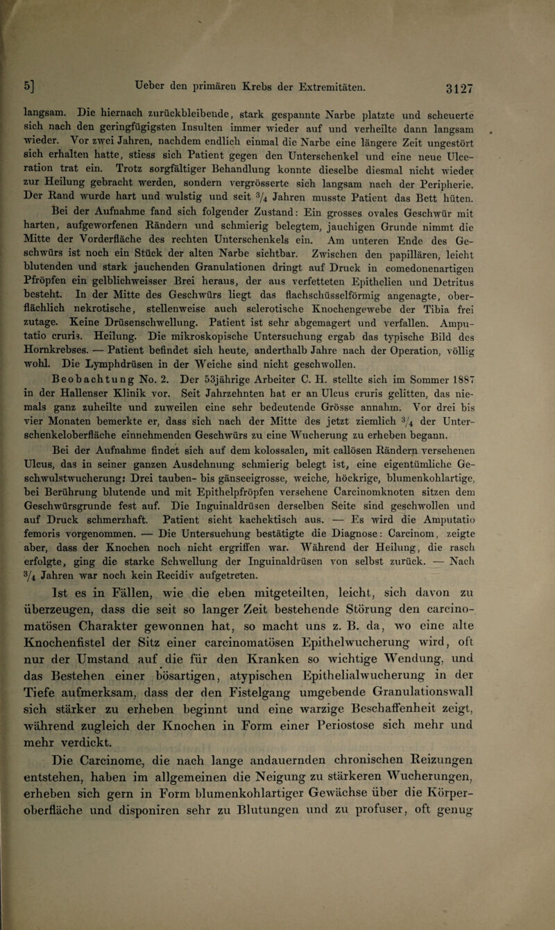 langsam. Die hiernach zurückbleibende, stark gespannte Narbe platzte und scheuerte sich nach den geringfügigsten Insulten immer wieder auf und verheilte dann langsam wieder. Vor zwei Jahren, nachdem endlich einmal die Narbe eine längere Zeit ungestört sich erhalten hatte, stiess sich Patient gegen den Unterschenkel und eine neue Ulce- ration trat ein. Trotz sorgfältiger Behandlung konnte dieselbe diesmal nicht wieder zur Heilung gebracht werden, sondern vergrösserte sich langsam nach der Peripherie. Der Kand wurde hart und wulstig und seit 2/4 Jahren musste Patient das Bett hüten. Bei der Aufnahme fand sich folgender Zustand: Ein grosses ovales Geschwür mit harten, aufgeworfenen Bändern und schmierig belegtem, jauchigen Grunde nimmt die Mitte der Vorderfläche des rechten Unterschenkels ein. Am unteren Ende des Ge¬ schwürs ist noch ein Stück der alten Narbe sichtbar. Zwischen den papillären, leicht blutenden und stark jauchenden Granulationen dringt auf Druck in comedonenartigen Pfropfen ein gelblichweisser Brei heraus, der aus verfetteten Epithelien und Detritus besteht. In der Mitte des Geschwürs liegt das flachschüsselförmig angenagte, ober¬ flächlich nekrotische, stellenweise auch sclerotische Knochengewebe der Tibia frei zutage. Keine Drüsenschwellung. Patient ist sehr abgemagert und verfallen. Ampu- tatio cruris. Heilung. Die mikroskopische Untersuchung ergab das typische Bild des Homkrebses. — Patient beflndet sich heute, anderthalb Jahre nach der Operation, völlig wohl. Die Lymphdrüsen in der Weiche sind nicht geschwollen. Beobachtung No. 2. Der 53jährige Arbeiter C. H. stellte sich im Sommer 1887 in der Hallenser Klinik vor. Seit Jahrzehnten hat er an Ulcus cruris gelitten, das nie¬ mals ganz zuheilte und zuweilen eine sehr bedeutende Grösse annahm. Vor drei bis vier Monaten bemerkte er, dass sich nach der Mitte des jetzt ziemlich 3/4 der Unter¬ schenkeloberfläche einnehmenden Geschwürs zu eine Wucherung zu erheben begann. Bei der Aufnahme findet sich auf dem kolossalen, mit callösen Rändern versehenen Ulcus, das in seiner ganzen Ausdehnung schmierig belegt ist, eine eigentümliche Ge¬ schwulstwucherung: Drei tauben- bis gänseeigrosse, weiche, höckrige, blumenkohlartige, bei Berührung blutende und mit Epithelpfröpfen versehene Carcinomknoten sitzen dem Geschwürsgrunde fest auf. Die Inguinaldrüsen derselben Seite sind geschwollen und auf Druck schmerzhaft. Patient sieht kachektisch aus. — Es wird die Amputatio femoris vorgenommen. ■— Die Untersuchung bestätigte die Diagnose: Carcinom, zeigte aber, dass der Knochen noch nicht ergriffen war. Während der Heilung, die rasch erfolgte, ging die starke Schwellung der Inguinaldrüsen von selbst zurück. — Nach 3/4 Jahren war noch kein Recidiv aufgetreten. Ist es in Fällen, wie die eben mitgeteilten, leicht, sich davon zu überzeugen, dass die seit so langer Zeit bestehende Störung den carcino- matösen Charakter gewonnen hat, so macht uns z. B. da, wo eine alte Knochenfistel der Sitz einer carcinomatösen Epithelwucherung wird, oft nur der Umstand auf die für den Kranken so wichtige Wendung, und das Bestehen einer bösartigen, atypischen Plpithelialwucherung in der Tiefe aufmerksam, dass der den Fistelgang umgebende Granulationswall sich stärker zu erheben beginnt und eine warzige Beschaffenheit zeigt, während zugleich der Knochen in Form einer Periostose sich mehr und mehr verdickt. Die Carcinome, die nach lange andauernden chronischen Heizungen entstehen, haben im allgemeinen die Neigung zu stärkeren Wucherungen, erheben sich gern in Form blumenkohlartiger Gewächse über die Körper¬ oberfläche und disponiren sehr zu Blutungen und zu profuser, oft genug