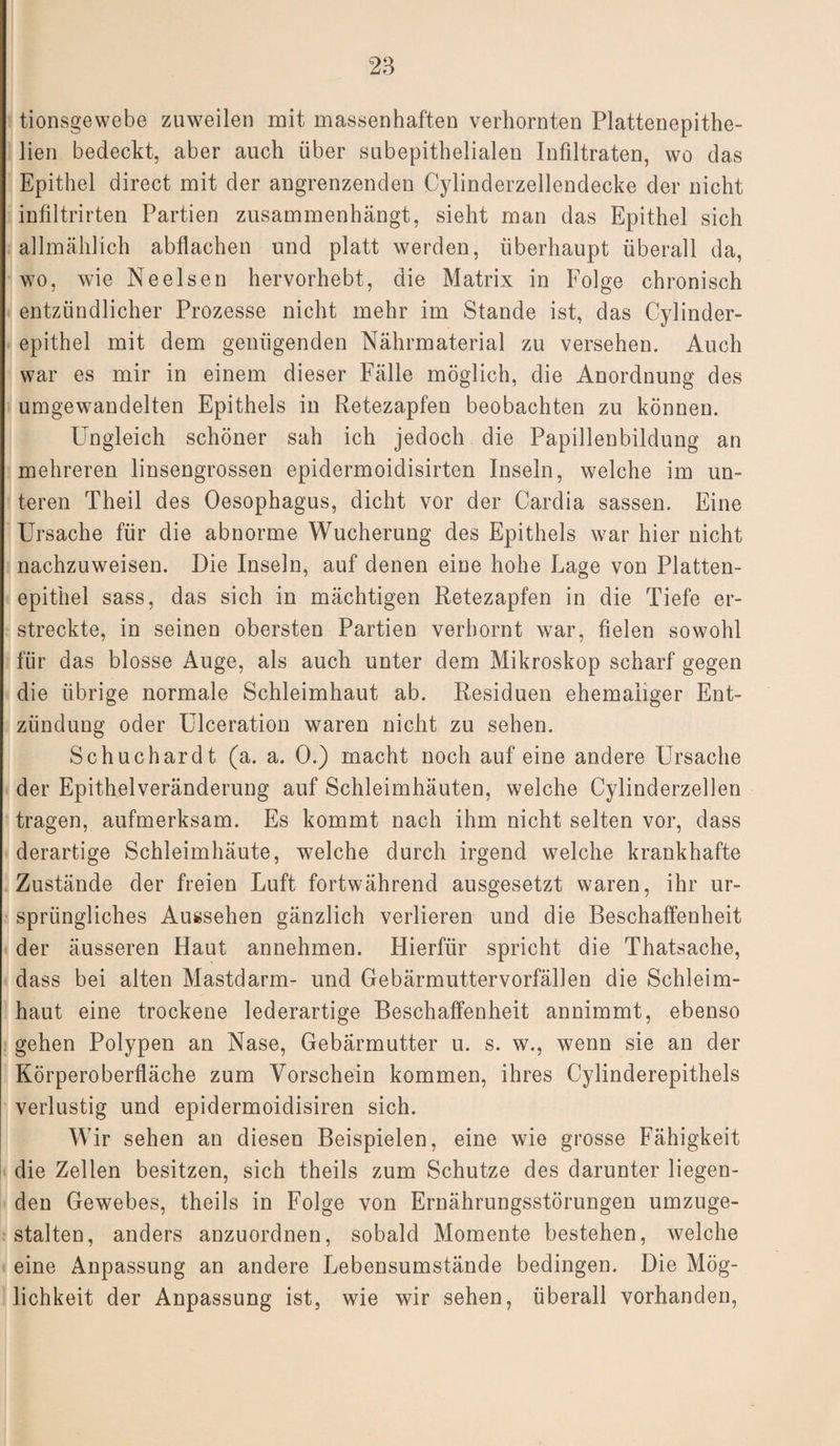 tionsgewebe zuweilen mit massenhaften verhornten Plattenepithe- lien bedeckt, aber auch über subepithelialen Infiltraten, wo das Epithel direct mit der angrenzenden Cylinderzellendecke der nicht infiltrirten Partien zusammenhängt, sieht man das Epithel sich allmählich abflachen und platt werden, überhaupt überall da, wo, wie Ne eisen hervorhebt , die Matrix in Folge chronisch entzündlicher Prozesse nicht mehr im Stande ist, das Cylinder- epithel mit dem genügenden Nährmaterial zu versehen. Auch war es mir in einem dieser Fälle möglich, die Anordnung des umgewandelten Epithels in Retezapfen beobachten zu können. Ungleich schöner sah ich jedoch die Papillenbildung an mehreren linsengrossen epidermoidisirten Inseln, welche im un¬ teren Theil des Oesophagus, dicht vor der Cardia sassen. Eine Ursache für die abnorme Wucherung des Epithels war hier nicht nachzuweisen. Die Inseln, auf denen eine hohe Lage von Platten¬ epithel sass, das sich in mächtigen Retezapfen in die Tiefe er¬ streckte, in seinen obersten Partien verhornt war, fielen sowohl für das blosse Auge, als aucli unter dem Mikroskop scharf gegen die übrige normale Schleimhaut ab. Residuen ehemaliger Ent¬ zündung oder Ulceration waren nicht zu sehen. Schuchardt (a. a. 0.) macht noch auf eine andere Ursache der Epithelveränderung auf Schleimhäuten, welche Cylinderzellen tragen, aufmerksam. Es kommt nach ihm nicht selten vor, dass derartige Schleimhäute, welche durch irgend welche krankhafte Zustände der freien Luft fortwährend ausgesetzt waren, ihr ur¬ sprüngliches Aussehen gänzlich verlieren und die Beschaffenheit der äusseren Haut annehmen. Hierfür spricht die Thatsache, dass bei alten Mastdarm- und Gebärmuttervorfällen die Schleim¬ haut eine trockene lederartige Beschaffenheit annimmt, ebenso gehen Polypen an Nase, Gebärmutter u. s. w., wenn sie an der Körperoberfläche zum Vorschein kommen, ihres Cylinderepithels verlustig und epidermoidisiren sich. Wir sehen an diesen Beispielen, eine wie grosse Fähigkeit die Zellen besitzen, sich theils zum Schutze des darunter liegen¬ den Gewebes, theils in Folge von Ernährungsstörungen umzuge¬ stalten, anders anzuordnen, sobald Momente bestehen, welche eine Anpassung an andere Lebensumstände bedingen. Die Mög¬ lichkeit der Anpassung ist, wie wir sehen, überall vorhanden,