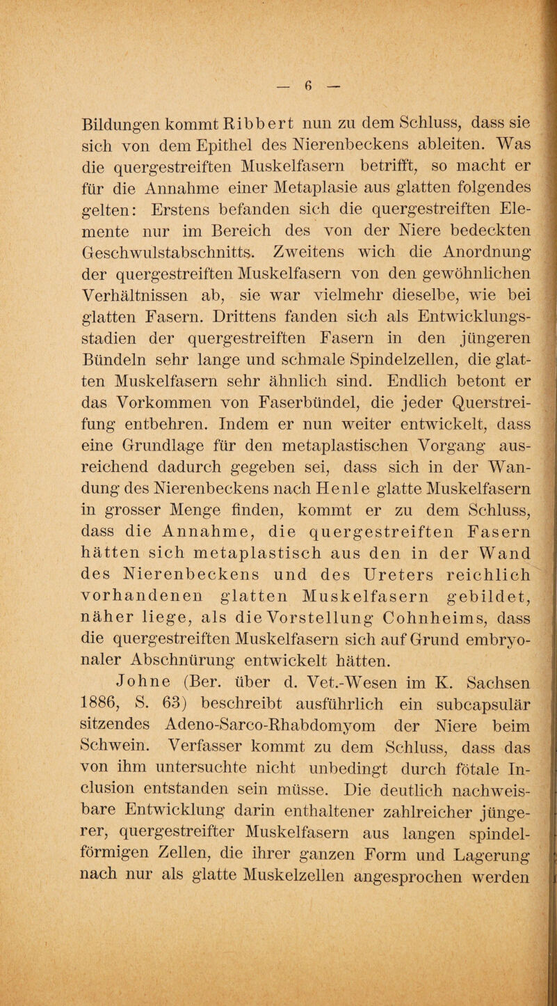 Bildungen kommt Ribbert nun zu dem Schluss, dass sie sich von dem Epithel des Nierenbeckens ableiten. Was die quergestreiften Muskelfasern betrifft, so macht er für die Annahme einer Metaplasie aus glatten folgendes gelten: Erstens befanden sich die quergestreiften Ele¬ mente nur im Bereich des von der Niere bedeckten Geschwulstabschnitts. Zweitens wich die Anordnung der quergestreiften Muskelfasern von den gewöhnlichen Verhältnissen ab, sie war vielmehr dieselbe, wie bei glatten Fasern. Drittens fanden sich als Entwicklungs¬ stadien der quergestreiften Fasern in den jüngeren Bündeln sehr lange und schmale Spindelzellen, die glat¬ ten Muskelfasern sehr ähnlich sind. Endlich betont er das Vorkommen von Faserbündel, die jeder Querstrei¬ fung entbehren. Indem er nun weiter entwickelt, dass eine Grundlage für den metaplastischen Vorgang aus¬ reichend dadurch gegeben sei, dass sich in der Wan¬ dung des Nierenbeckens nach He nie glatte Muskelfasern in grosser Menge finden, kommt er zu dem Schluss, dass die Annahme, die quergestreiften Fasern hätten sich metaplastisch aus den in der Wand des Nierenbeckens und des Ureters reichlich vorhandenen glatten Muskelfasern gebildet, näher liege, als die Vorstellung Cohnheims, dass die quergestreiften Muskelfasern sich auf Grund embryo¬ naler Abschnürung entwickelt hätten. Johne (Ber. über d. Vet.-Wesen im K. Sachsen 1886, S. 63) beschreibt ausführlich ein subcapsulär sitzendes Adeno-Sarco-Rhabdomyom der Niere beim Schwein. Verfasser kommt zu dem Schluss, dass das von ihm untersuchte nicht unbedingt durch fötale In¬ clusion entstanden sein müsse. Die deutlich nachweis¬ bare Entwicklung darin enthaltener zahlreicher jünge¬ rer, quergestreifter Muskelfasern aus langen spindel¬ förmigen Zellen, die ihrer ganzen Form und Lagerung nach nur als glatte Muskelzellen angesprochen werden