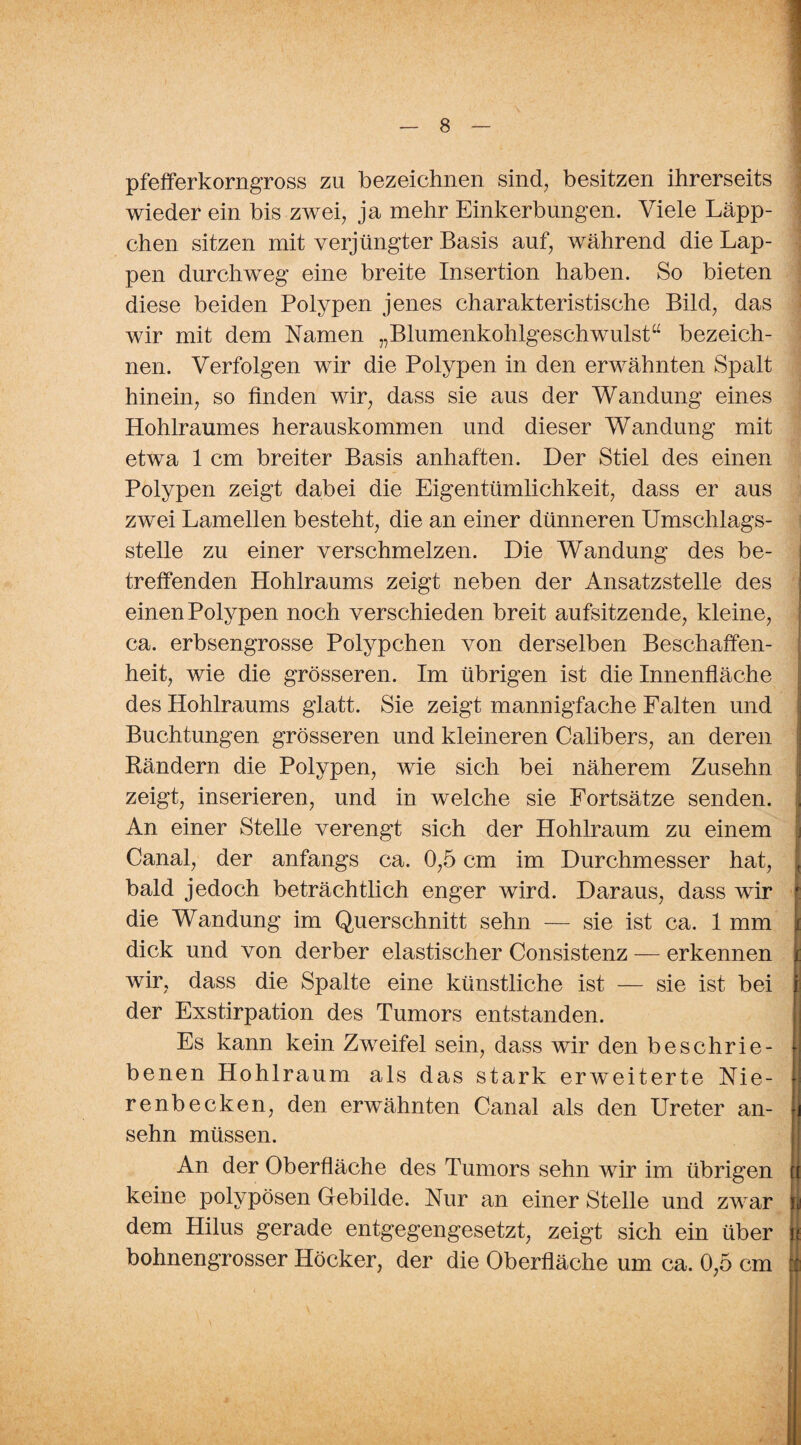 pfefferkorngross zu bezeichnen sind, besitzen ihrerseits wieder ein bis zwei, ja mehr Einkerbungen. Viele Läpp¬ chen sitzen mit verjüngter Basis auf, während die Lap¬ pen durchweg eine breite Insertion haben. So bieten diese beiden Polypen jenes charakteristische Bild, das wir mit dem Namen „Blumenkohlgeschwulst“ bezeich¬ nen. Verfolgen wir die Polypen in den erwähnten Spalt hinein, so finden wir, dass sie aus der Wandung eines Hohlraumes herauskommen und dieser Wandung mit etwa 1 cm breiter Basis anhaften. Der Stiel des einen Polypen zeigt dabei die Eigentümlichkeit, dass er aus zwei Lamellen besteht, die an einer dünneren Umschlags¬ stelle zu einer verschmelzen. Die Wandung des be¬ treffenden Hohlraums zeigt neben der Ansatzstelle des einen Polypen noch verschieden breit aufsitzende, kleine, ca. erbsengrosse Polypehen von derselben Beschaffen¬ heit, wie die grösseren. Im übrigen ist die Innenfläche des Hohlraums glatt. Sie zeigt mannigfache Falten und Buchtungen grösseren und kleineren Calibers, an deren Rändern die Polypen, wie sich bei näherem Zusehn zeigt, inserieren, und in welche sie Fortsätze senden. An einer Stelle verengt sich der Hohlraum zu einem Canal, der anfangs ca. 0,5 cm im Durchmesser hat, j, bald jedoch beträchtlich enger wird. Daraus, dass wir j: die Wandung im Querschnitt sehn — sie ist ca. 1 mm j[ dick und von derber elastischer Consistenz — erkennen je wir, dass die Spalte eine künstliche ist — sie ist bei |j der Exstirpation des Tumors entstanden. Es kann kein Zweifel sein, dass wir den beschrie¬ benen Hohlraum als das stark erweiterte Nie- l renbecken, den erwähnten Canal als den Ureter an¬ sehn müssen. An der Oberfläche des Tumors sehn wir im übrigen keine polypösen Gebilde. Nur an einer Stelle und zwar rp dem Hilus gerade entgegengesetzt, zeigt sich ein über