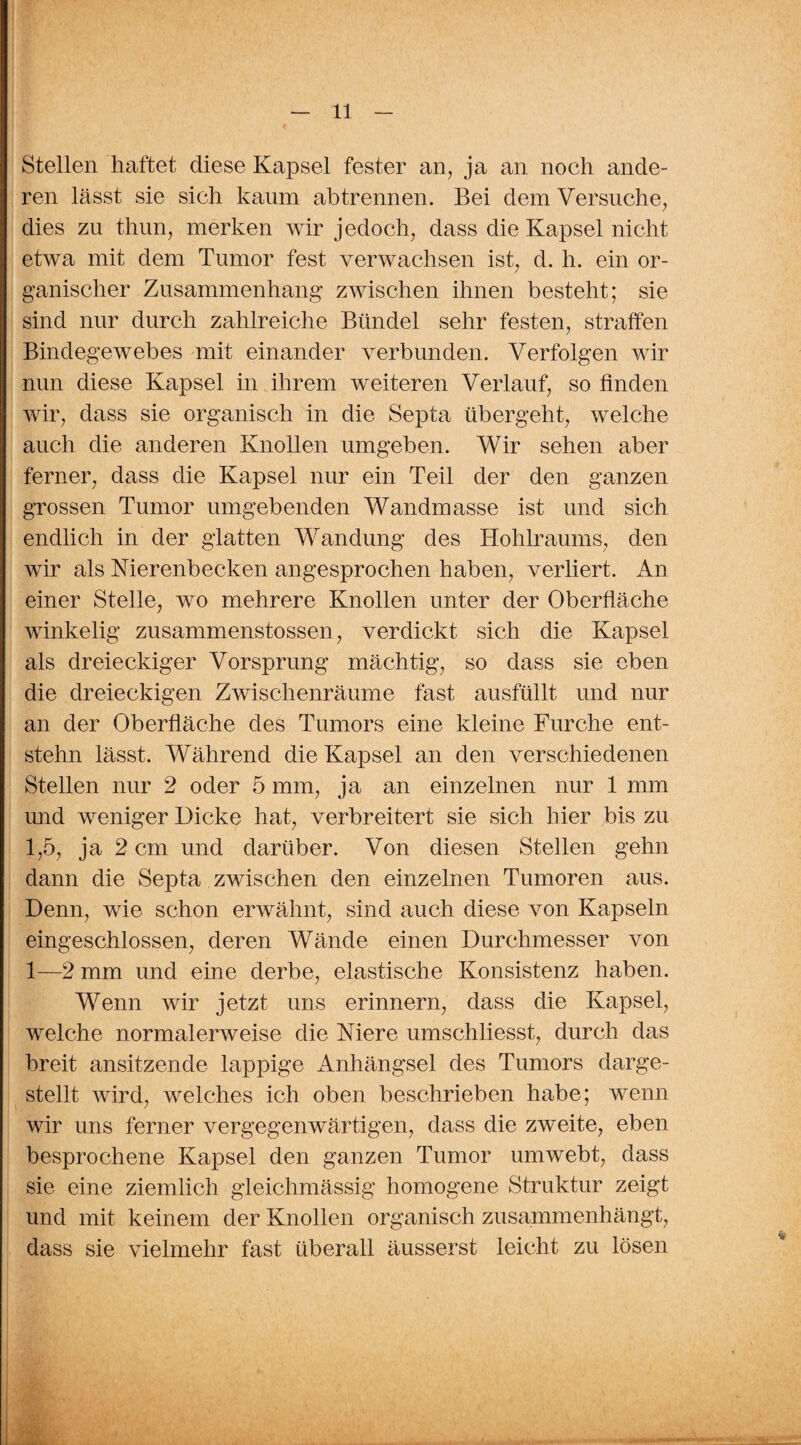 Stellen haftet diese Kapsel fester an, ja an noch ande¬ ren lässt sie sich kaum ab trennen. Bei dem Versuche, dies zu thun, merken wir jedoch, dass die Kapsel nicht etwa mit dem Tumor fest verwachsen ist, d. h. ein or¬ ganischer Zusammenhang zwischen ihnen besteht; sie sind nur durch zahlreiche Bündel sehr festen, straffen Bindegewebes mit einander verbunden. Verfolgen wir nun diese Kapsel in ihrem weiteren Verlauf, so finden wir, dass sie organisch in die Septa übergeht, welche auch die anderen Knollen umgeben. Wir sehen aber ferner, dass die Kapsel nur ein Teil der den ganzen grossen Tumor umgebenden Wandmasse ist und sich endlich in der glatten Wandung des Hohlraums, den wir als Nierenbecken angesprochen haben, verliert. An einer Stelle, wo mehrere Knollen unter der Oberfläche winkelig zusammenstossen, verdickt sich die Kapsel als dreieckiger Vorsprung mächtig, so dass sie eben die dreieckigen Zwischenräume fast ausfüllt und nur an der Oberfläche des Tumors eine kleine Furche ent¬ stehn lässt. Während die Kapsel an den verschiedenen Stellen nur 2 oder 5 mm, ja an einzelnen nur 1 mm und weniger Dicke hat, verbreitert sie sich hier bis zu 1,5, ja 2 cm und darüber. Von diesen Stellen gehn dann die Septa zwischen den einzelnen Tumoren aus. Denn, wie schon erwähnt, sind auch diese von Kapseln eingeschlossen, deren Wände einen Durchmesser von 1—2 mm und eine derbe, elastische Konsistenz haben. Wenn wir jetzt uns erinnern, dass die Kapsel, welche normalerweise die Niere umschliesst, durch das breit ansitzende lappige Anhängsel des Tumors darge¬ stellt wird, welches ich oben beschrieben habe; wenn wir uns ferner vergegenwärtigen, dass die zweite, eben besprochene Kapsel den ganzen Tumor umwebt, dass sie eine ziemlich gleichmässig homogene Struktur zeigt und mit keinem der Knollen organisch zusammenhängt, dass sie vielmehr fast überall äusserst leicht zu lösen