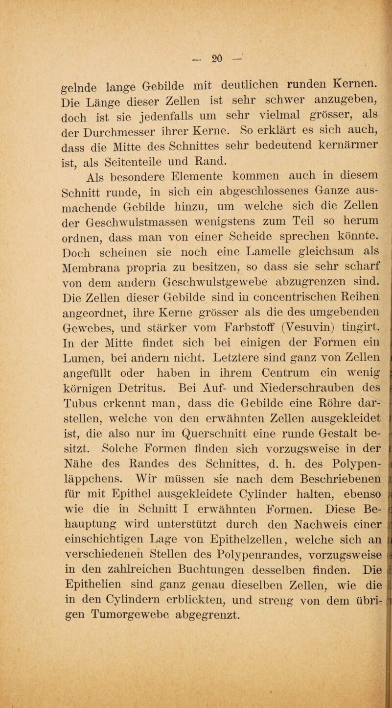 gelnde lange Gebilde mit deutlichen rundGii Kernen. Die LängG diGSGr Zellen ist sehr schwer anzugeben, doch ist sie jedenfalls um sehr vielmal grösser, als der Durchmesser ihrer Kerne. So erklärt es sich auch, dass die Mitte des Schnittes sehr bedeutend kernärmer ist, als Seitenteile und Rand. Als besondere Elemente kommen auch in diesem Schnitt runde, in sich ein abgeschlossenes Ganze aus¬ machende Gebilde hinzu, um welche sich die Zellen der Geschwulstmassen wenigstens zum Teil so herum ordnen, dass man von einer Scheide sprechen könnte. Doch scheinen sie noch eine Lamelle gleichsam als Membrana propria zu besitzen, so dass sie sehr scharf von dem andern Geschwulstgewebe abzugrenzen sind. Die Zellen dieser Gebilde sind in concentrischen Reihen angeordnet, ihre Kerne grösser als die des umgebenden Gewebes, und stärker vom Farbstoff (Vesuvin) tingirt. In der Mitte findet sich bei einigen der Formen ein Lumen, bei andern nicht. Letztere sind ganz von Zellen angefüllt oder haben in ihrem Centrum ein wenig körnigen Detritus. Bei Auf- und Mederschrauben des Tubus erkennt man, dass die Gebilde eine Röhre dar¬ stellen, welche von den erwähnten Zellen ausgekleidet ist, die also nur im Querschnitt eine runde Gestalt be¬ sitzt. Solche Formen finden sich vorzugsweise in der Nähe des Randes des Schnittes, d. h. des Polypen¬ läppchens. Wir müssen sie nach dem Beschriebenen für mit Epithel ausgekleidete Cylinder halten, ebenso wie die in Schnitt I erwähnten Formen. Diese Be¬ hauptung wird unterstützt durch den Nachweis einer einschichtigen Lage von Epithelzellen, welche sich an verschiedenen Stellen des Polypenrandes, vorzugsweise in den zahlreichen Buchtungen desselben finden. Die Epithelien sind ganz genau dieselben Zellen, wie die in den Cylindern erblickten, und streng von dem übri¬ gen Tumorgewebe abgegrenzt.