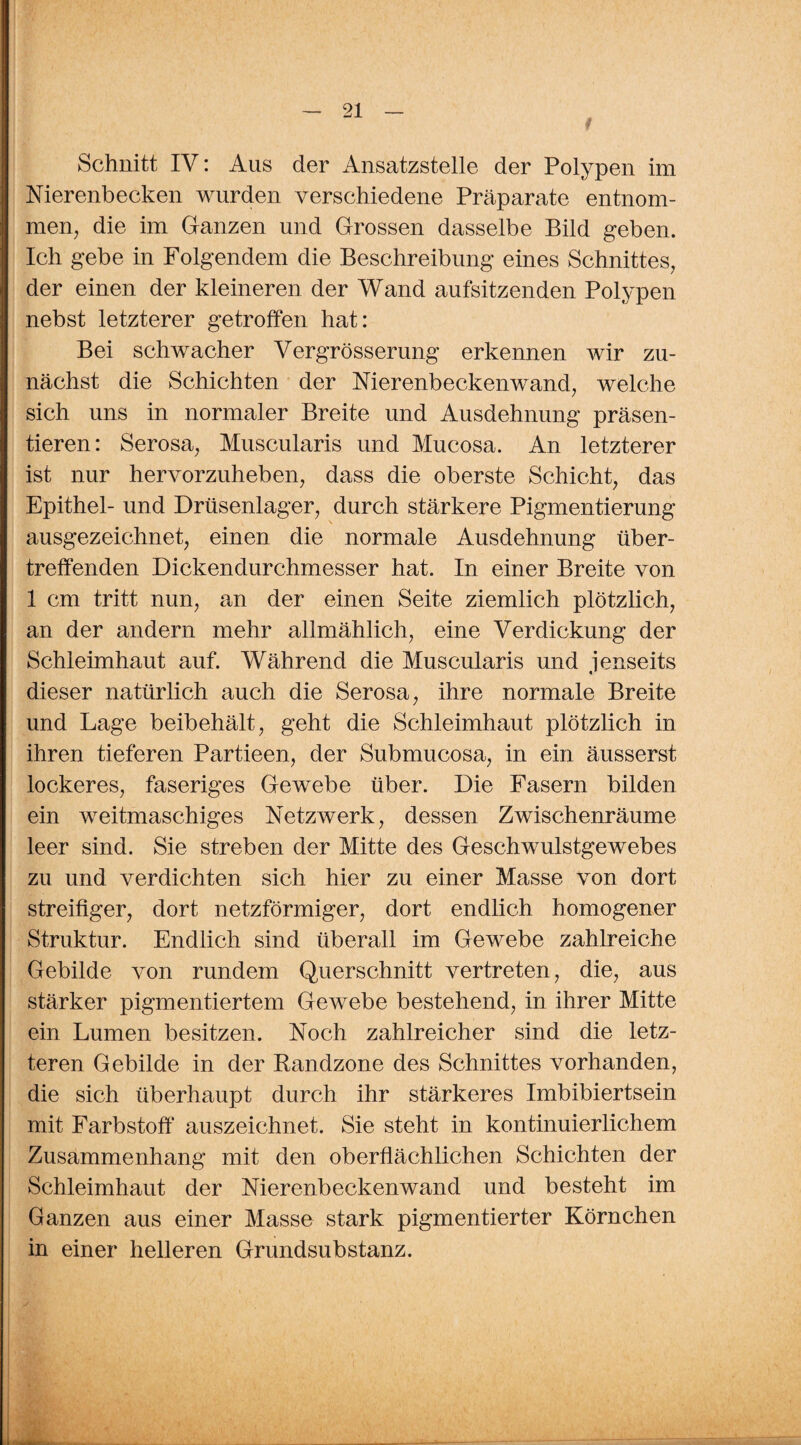 Schnitt IV: Aus der Ansatzstelle der Polypen im Nierenbecken wurden verschiedene Präparate entnom¬ men, die im Ganzen und Grossen dasselbe Bild geben. Ich gebe in Folgendem die Beschreibung eines Schnittes, der einen der kleineren der Wand aufsitzenden Polypen nebst letzterer getroffen hat: Bei schwacher Vergrösserung erkennen wir zu¬ nächst die Schichten der Nierenbeckenwand, welche sich uns in normaler Breite und Ausdehnung präsen¬ tieren: Serosa, Muscularis und Mucosa. An letzterer ist nur hervorzuheben, dass die oberste Schicht, das Epithel- und Drüsenlager, durch stärkere Pigmentierung ausgezeichnet, einen die normale Ausdehnung über¬ treffenden Dickendurchmesser hat. In einer Breite von 1 cm tritt nun, an der einen Seite ziemlich plötzlich, an der andern mehr allmählich, eine Verdickung der Schleimhaut auf. Während die Muscularis und jenseits dieser natürlich auch die Serosa, ihre normale Breite und Lage beibehält, geht die Schleimhaut plötzlich in ihren tieferen Partieen, der Submucosa, in ein äusserst lockeres, faseriges Gewebe über. Die Fasern bilden ein weitmaschiges Netzwerk, dessen Zwischenräume leer sind. Sie streben der Mitte des Geschwulstgewebes zu und verdichten sich hier zu einer Masse von dort streifiger, dort netzförmiger, dort endlich homogener Struktur. Endlich sind überall im Gewebe zahlreiche Gebilde von rundem Querschnitt vertreten, die, aus stärker pigmentiertem Gewebe bestehend, in ihrer Mitte ein Lumen besitzen. Noch zahlreicher sind die letz¬ teren Gebilde in der Randzone des Schnittes vorhanden, die sich überhaupt durch ihr stärkeres Imbibiertsein mit Farbstoff auszeichnet. Sie steht in kontinuierlichem Zusammenhang mit den oberflächlichen Schichten der Schleimhaut der Nierenbeckenwand und besteht im Ganzen aus einer Masse stark pigmentierter Körnchen in einer helleren Grundsubstanz.