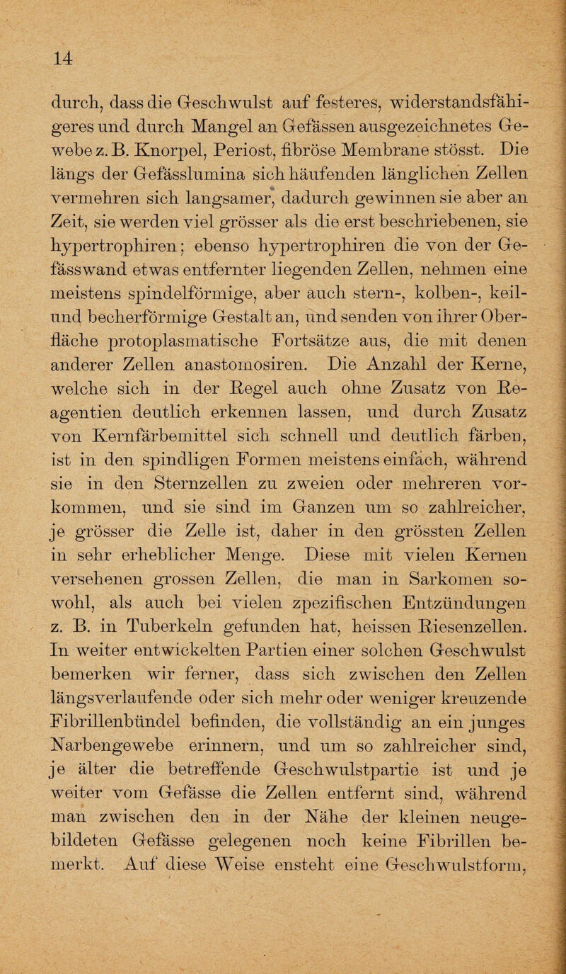 durch, dass die Geschwulst auf festeres, widerstandsfähi¬ geres und durch Mangel an Gelassen ausgezeichnetes Ge¬ webe z. B. Knorpel, Periost, fibröse Membrane stösst. Die längs der Gefässlumina sich häufenden länglichen Zellen vermehren sich langsamer, dadurch gewinnen sie aber an Zeit, sie werden viel grösser als die erst beschriebenen, sie hypertrophiren; ebenso hypertrophiren die von der Ge- fässwand etwas entfernter liegenden Zellen, nehmen eine meistens spindelförmige, aber auch stern-, kolben-, keil- und becherförmige Gestalt an, und senden von ihrer Ober¬ fläche protoplasmatische Fortsätze aus, die mit denen anderer Zellen anastomosiren. Die Anzahl der Kerne, welche sich in der Kegel auch ohne Zusatz von Ke- agentien deutlich erkennen lassen, und durch Zusatz von Kernfärbemittel sich schnell und deutlich, färben, ist in den spindligen Formen meistens einfach, während sie in den Sternzellen zu zweien oder mehreren Vor¬ kommen, und sie sind im Ganzen um so zahlreicher, je grösser die Zelle ist, daher in den grössten Zellen in sehr erheblicher Menge. Diese mit vielen Kernen versehenen grossen Zellen, die man in Sarkomen so¬ wohl, als auch bei vielen zpezifischen Entzündungen z. B. in Tuberkeln gefunden hat, heissen Kiesenzellen. In weiter entwickelten Partien einer solchen Geschwulst bemerken wir ferner, dass sich zwischen den Zellen längsverlaufende oder sich mehr oder weniger kreuzende Fibrillenbündel befinden, die vollständig an ein junges Karbengewebe erinnern, und um so zahlreicher sind, je älter die betreffende Geschwulstpartie ist und je weiter vom Gefässe die Zellen entfernt sind, während man zwischen den in der Kähe der kleinen neuge¬ bildeten Gefässe gelegenen noch keine Fibrillen be¬ merkt. Auf diese Weise ensteht eine Geschwulstform,