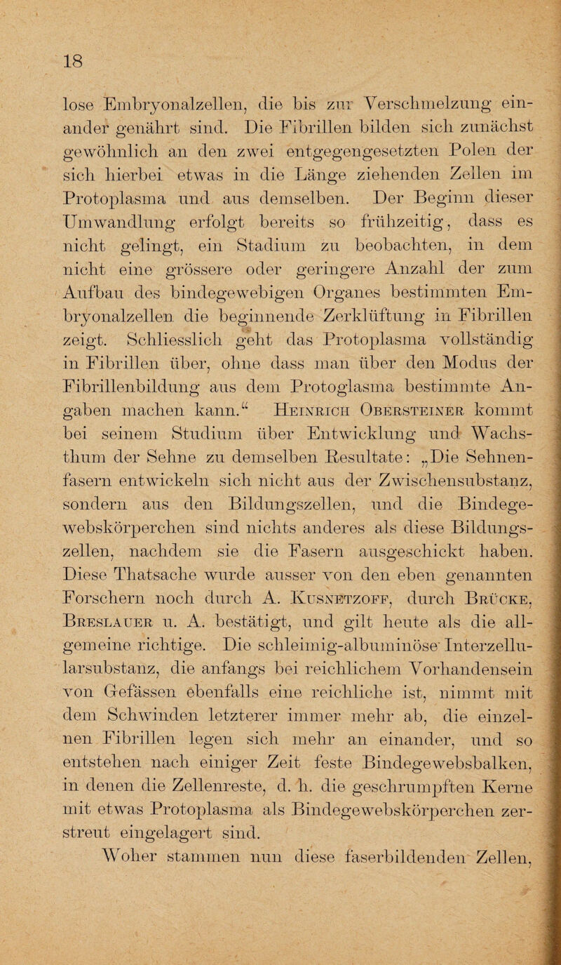 lose Embryonalzellen, die bis zur Verschmelzung ein¬ ander genährt sind. Die Fibrillen bilden sich zunächst gewöhnlich an den zwei entgegengesetzten Polen der sich hierbei etwas in die Länge ziehenden Zellen im Protoplasma und aus demselben. Der Beginn dieser Umwandlung erfolgt bereits so frühzeitig, dass es nicht gelingt, ein Stadium zu beobachten, in dem nicht eine grössere oder geringere Anzahl der zum Aufbau des bindegewebigen Organes bestimmten Em¬ bryonalzellen die beginnende Zerklüftung in Fibrillen zeigt. Schliesslich geht das Protoplasma vollständig in Eibrillen über, ohne dass man über den Modus der Fibrillenbildung aus dem Protoglasma bestimmte An¬ gaben machen kann.“ Heinrich Obersteiner kommt bei seinem Studium über Entwicklung und Wachs¬ thum der Sehne zu demselben Besultate: „Die Sehnen¬ fasern entwickeln sich nicht aus der Zwischensubstanz, sondern aus den Bildungszellen, und die Bindege- webskörperchen sind nichts anderes als diese Bildungs- zellen, nachdem sie die Fasern ausgeschickt haben. Diese Thatsache wurde ausser von den eben genannten Forschern noch durch A. Kusnetzofe, durch Brücke, Breslauer u. A. bestätigt, und gilt heute als die all¬ gemeine richtige. Die schleimig-alb um in Öse' Interzellu¬ larsubstanz, die anfangs bei reichlichem Vorhandensein von G efässen ebenfalls eine reichliche ist, nimmt mit dem Schwinden letzterer immer mehr ab, die einzel¬ nen Fibrillen legen sich mehr an einander, und so entstehen nach einiger Zeit feste Bindegewebsbalken, in denen die Zellenreste, d. h. die geschrumpften Kerne mit etwas Protoplasma als Bindegewebskörperchen zer¬ streut eingelagert sind. Woher stammen nun diese faserbildenden Zellen,