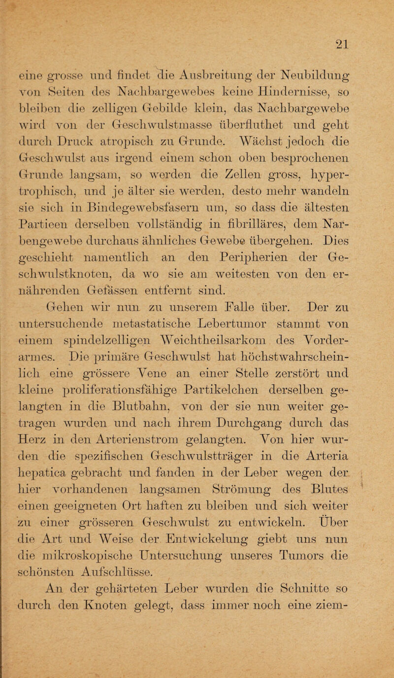 eine grosse und findet die Ausbreitung der Neubildung von Seiten des Nachbargewebes keine Hindernisse, so bleiben die zelligen Gebilde klein, das Nachbarge webe wird von der Gescliwulstmasse überfluthet und gellt durch Druck atropisch zu Grunde. Wächst jedoch die Geschwulst aus irgend einem schon oben besprochenen Grunde langsam, so werden die Zellen gross, hyper¬ trophisch, und je älter sie werden, desto mehr wandeln sie sich in Bindegewebsfasern um, so dass die ältesten Partieen derselben vollständig in fibrilläres, dem Nar¬ bengewebe durchaus ähnliches Gewebe übergehen. Dies geschieht namentlich an den Peripherien der Ge¬ schwulstknoten, da wo sie am weitesten von den er¬ nährenden Gelassen entfernt sind. Gehen wir nun zu unserem Falle über. Der zu untersuchende metastatische Lebertumor stammt von einem spindelzelligen Weichtheilsarkom des Vorder¬ armes. Die primäre Geschwulst hat höchstwahrschein¬ lich eine grössere Vene an einer Stelle zerstört und kleine proliferationsfähige Partikelchen derselben ge¬ langten in die Blutbahn, von der sie nun weiter ge¬ tragen wurden und nach ihrem Durchgang durch das Herz in den Arterienstrom gelangten. Von hier wur¬ den die spezifischen Geschwulstträger in die Arteria hepatica gebracht und fanden in der Leber wegen der hier vorhandenen langsamen Strömung des Blutes einen geeigneten Ort haften zu bleiben und sich weiter zu einer grösseren Geschwulst zu entwickeln. Über die Art und Weise der Entwickelung giebt uns nun die mikroskopische Untersuchung unseres Tumors die schönsten Aufschlüsse. An der gehärteten Leber wurden die Schnitte so durch den Knoten gelegt, dass immer noch eine ziem-