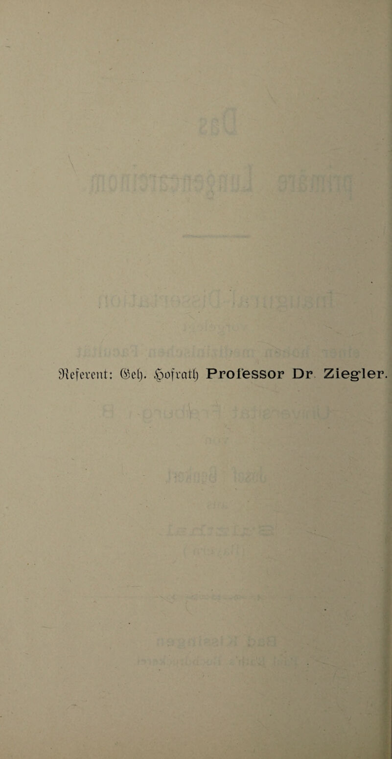 Referent: (M> £>ofvatl) Professor Dr Ziegler.