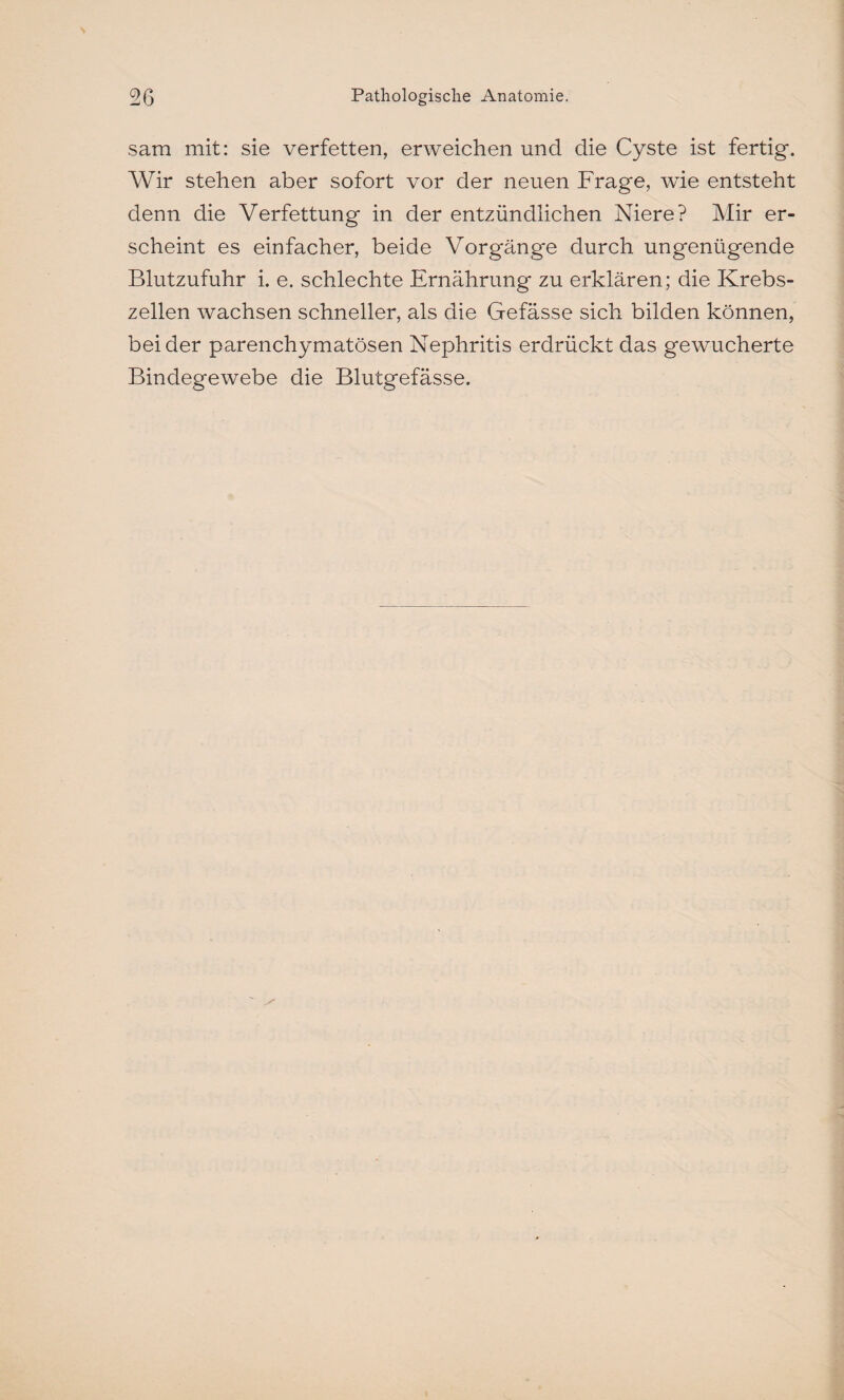 sara mit: sie verfetten, erweichen und die Cyste ist fertig-. Wir stehen aber sofort vor der neuen Frage, wie entsteht denn die Verfettung in der entzündlichen Niere? Mir er¬ scheint es einfacher, beide Vorgänge durch ungenügende Blutzufuhr i. e. schlechte Ernährung zu erklären; die Krebs¬ zellen wachsen schneller, als die Gefässe sich bilden können, beider parenchymatösen Nephritis erdrückt das gewucherte Bindegewebe die Blutgefässe.