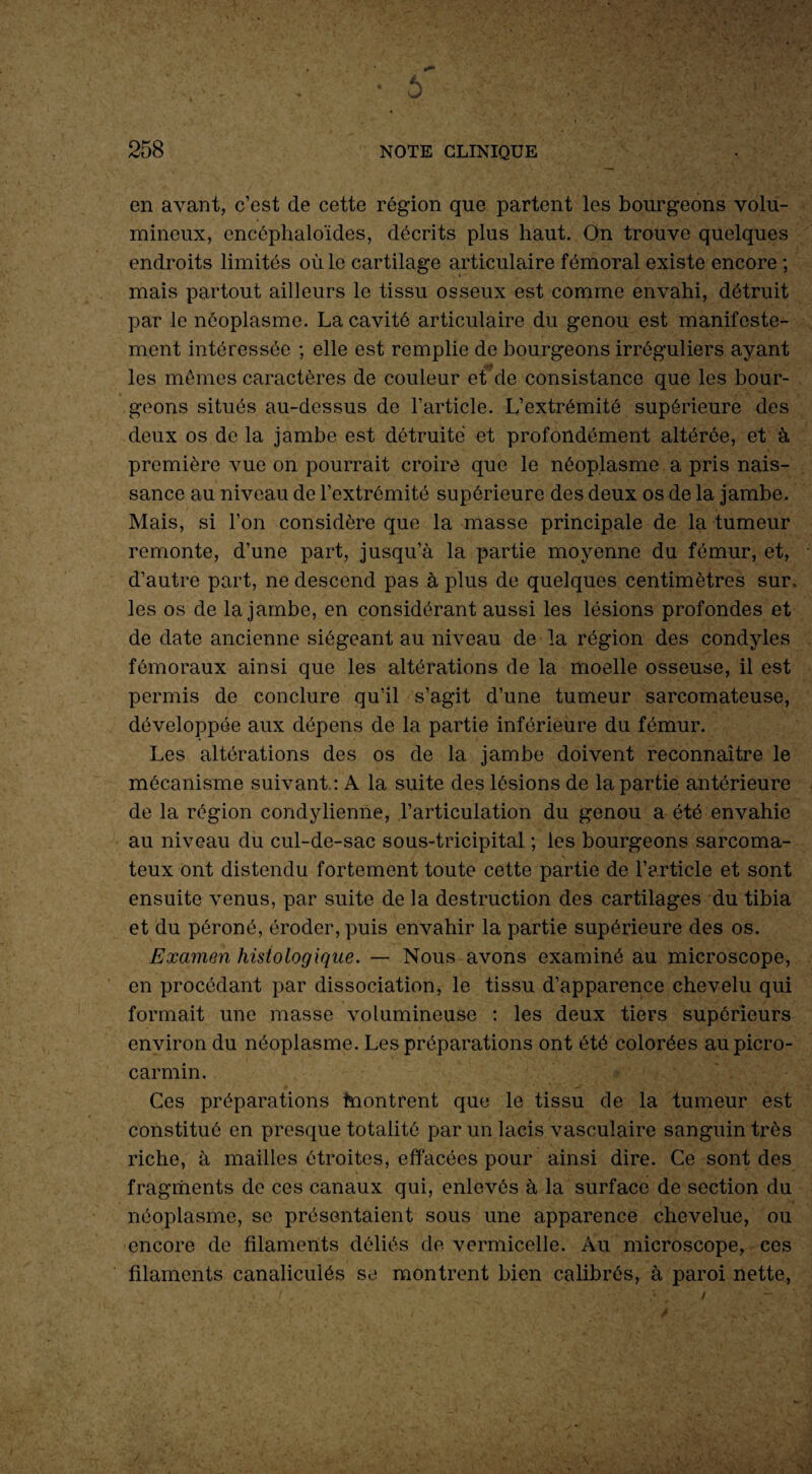 en avant, c’est de cette région que partent les bourgeons volu¬ mineux, encéplialoïdes, décrits plus haut. On trouve quelques endroits limités où le cartilage articulaire fémoral existe encore ; mais partout ailleurs le tissu osseux est comme envahi, détruit par le néoplasme. La cavité articulaire du genou est manifeste¬ ment intéressée ; elle est remplie de bourgeons irréguliers ayant les mêmes caractères de couleur et de consistance que les bour¬ geons situés au-dessus de l’article. L’extrémité supérieure des deux os de la jambe est détruite et profondément altérée, et à première vue on pourrait croire que le néoplasme a pris nais¬ sance au niveau de l’extrémité supérieure des deux os de la jambe. Mais, si l’on considère que la masse principale de la tumeur remonte, d’une part, jusqu’à la partie moyenne du fémur, et, d’autre part, ne descend pas à plus de quelques centimètres sur. les os de la jambe, en considérant aussi les lésions profondes et de date ancienne siégeant au niveau de la région des condyles fémoraux ainsi que les altérations de la moelle osseuse, il est permis de conclure qu’il s’agit d’une tumeur sarcomateuse, développée aux dépens de la partie inférieure du fémur. Les altérations des os de la jambe doivent reconnaître le mécanisme suivant : A la suite des lésions de la partie antérieure de la région condylienne, l’articulation du genou a été envahie au niveau du cul-de-sac sous-tricipital ; les bourgeons sarcoma¬ teux ont distendu fortement toute cette partie de l’article et sont ensuite venus, par suite de la destruction des cartilages du tibia et du péroné, éroder, puis envahir la partie supérieure des os. Examen histologique. — Nous avons examiné au microscope, en procédant par dissociation, le tissu d’apparence chevelu qui formait une masse volumineuse : les deux tiers supérieurs environ du néoplasme. Les préparations ont été colorées aupicro- carmin. Ces préparations Montrent que le tissu de la tumeur est constitué en presque totalité par un lacis vasculaire sanguin très riche, à mailles étroites, effacées pour ainsi dire. Ce sont des fragments de ces canaux qui, enlevés à la surface de section du néoplasme, se présentaient sous une apparence chevelue, ou encore de filaments déliés de vermicelle. Au microscope, ces filaments canalicuiés se montrent bien calibrés, à paroi nette,