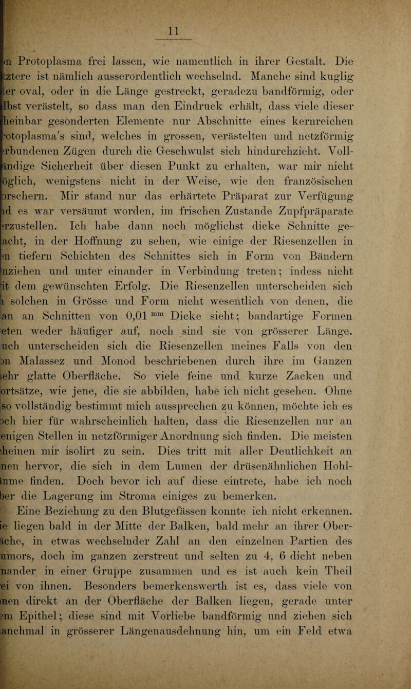 >n Protoplasma frei lassen, wie namentlich in ihrer Gestalt. Die tztere ist nämlich ausserordentlich wechselnd. Manche sind kuglig [er oval, oder in die Länge gestreckt, geradezu bandförmig, oder lbst verästelt, so dass man den Eindruck erhält, dass viele dieser heinbar gesonderten Elemente nur Abschnitte eines kernreichen “otoplasma's sind, welches in grossen, verästelten und netzförmig irbundenen Zügen durch die Geschwulst sich hindurchzieht. Voll- ändige Sicherheit über diesen Punkt zu erhalten, war mir nicht öglich, wenigstens nicht in der Weise, wie den französischen Drschern. Mir stand nur das erhärtete Präparat zur Verfügung id es war versäumt worden, im frischen Zustande Zupfpräparate mzustellen. Ich habe dann noch möglichst dicke Schnitte ge¬ gellt, in der Hoffnung zu sehen, wie einige der Riesenzellen in m tiefem Schichten des Schnittes sich in Form von Bändern Inziehen und unter einander in Verbindung treten • indess nicht it dem gewünschten Erfolg. Die Riesenzellen unterscheiden sich i solchen in Grösse und Form nicht wesentlich von denen, die an an Schnitten von 0,01 mm Dicke sieht“ bandartige Formen eten weder häufiger auf, noch sind sie von grösserer Länge, uch unterscheiden sich die Riesenzellen meines Falls von den m Malassez und Monod beschriebenen durch ihre im Ganzen Lehr glatte Oberfläche. So viele feine und kurze Zacken und ortsätze, wie jene, die sie abbilden, habe ich nicht gesehen. Ohne so vollständig bestimmt mich aussprechen zu können, möchte ich es bch hier für wahrscheinlich halten, dass die Riesenzellen nur an eiligen Stellen in netzförmiger Anordnung sich finden. Die meisten Reinen mir isolirt zu sein. Dies tritt mit aller Deutlichkeit an men hervor, die sich in dem Lumen der drüsenähnlichen Hohl- iume finden. Doch bevor ich auf diese eintrete, habe ich noch ber die Lagerung im Stroma einiges zu bemerken. Eine Beziehung zu den Blutgefässen konnte ich nicht erkennen, ie liegen bald in der Mitte der Balken, bald mehr an ihrer Ober¬ äche, in etwas wechselnder Zahl an den einzelnen Partien des umors, doch im ganzen zerstreut und selten zu 4, 6 dicht neben minder in einer Gruppe zusammen und es ist auch kein Tlieil ei von ihnen. Besonders bemerkenswert!! ist es, dass viele von men direkt an der Oberfläche der Balken liegen, gerade unter 3m Epithel; diese sind mit Vorliebe bandförmig und ziehen sich anchmal in grösserer Längenausdehnung hin, um ein Feld etwa